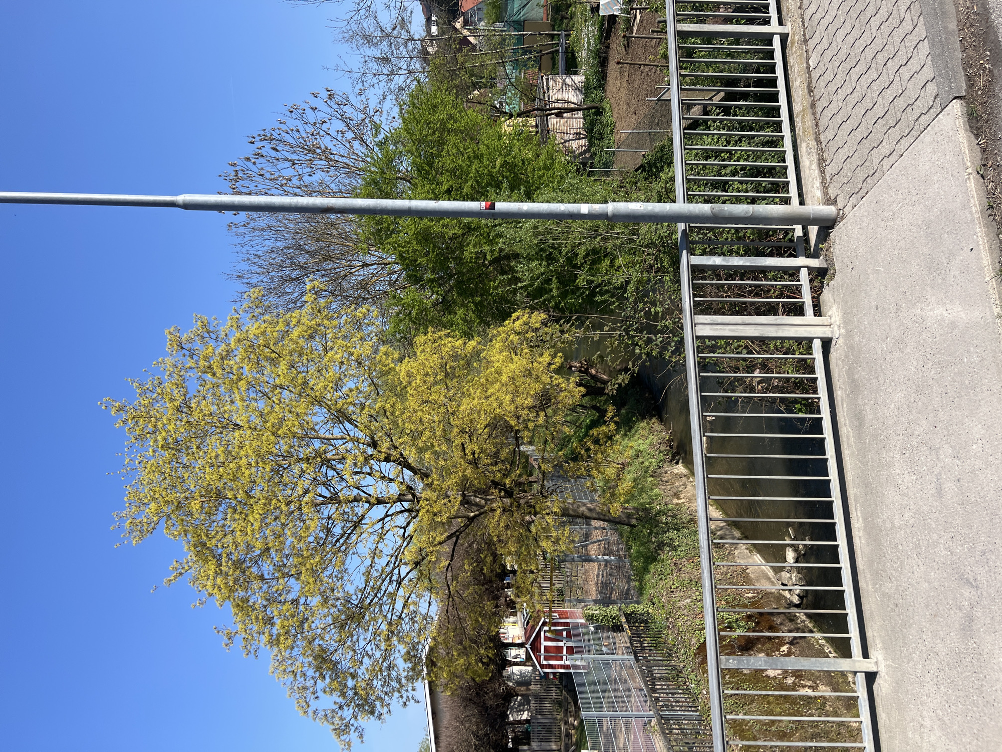 The image depicts a street scene with a sidewalk and a metal railing. Behind the railing, there is a waterway or stream flowing through a wooded area with trees and some vegetation. A small red and white structure, possibly a shed or a small house, is visible near the waterway. Above, there's a clear blue sky with a bare tree branch extending. The photograph appears to be taken in an urban area, though the specific location is not identifiable from the image.