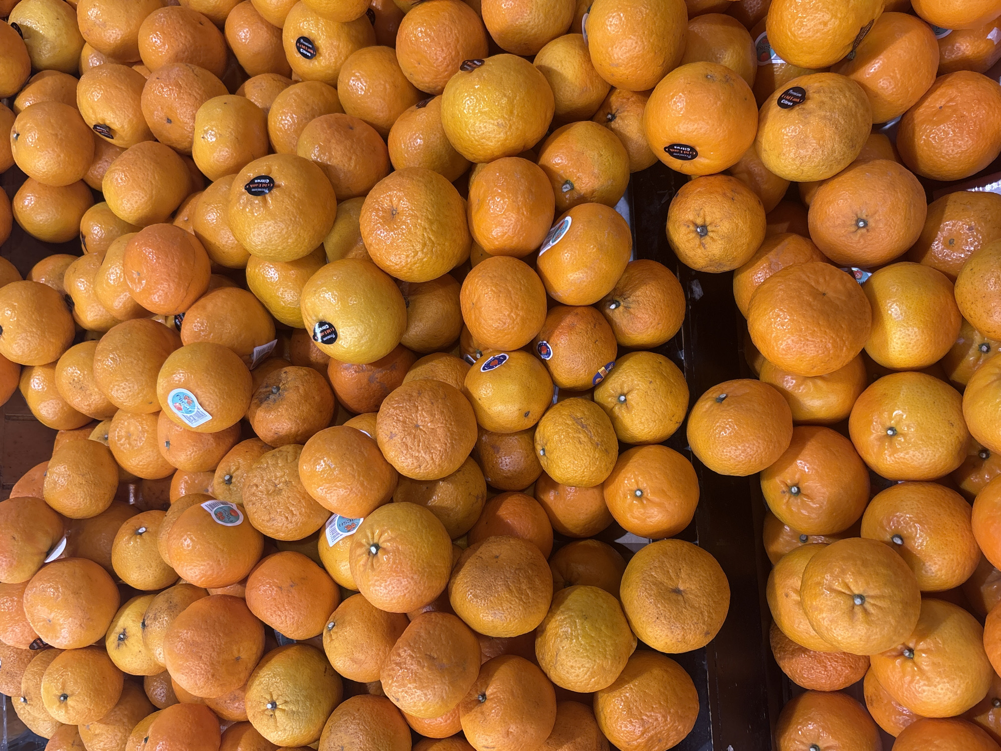A close-up, eye-level shot shows a large display of fresh, bright orange tangerines stacked in multiple layers, filling the entire frame. The tangerines are mostly round and appear ripe, with some showing slight blemishes or textural variations. Several tangerines have small, circular stickers, some with text and images, indicating they are likely for sale. The lighting is bright, highlighting the vibrant color of the fruit and casting subtle shadows. The background is a dark, out-of-focus area, suggesting the tangerines are in a market or grocery store setting, possibly in North Jakarta, Indonesia, where such fruit displays are common. There are no people or other objects visible in the image.
