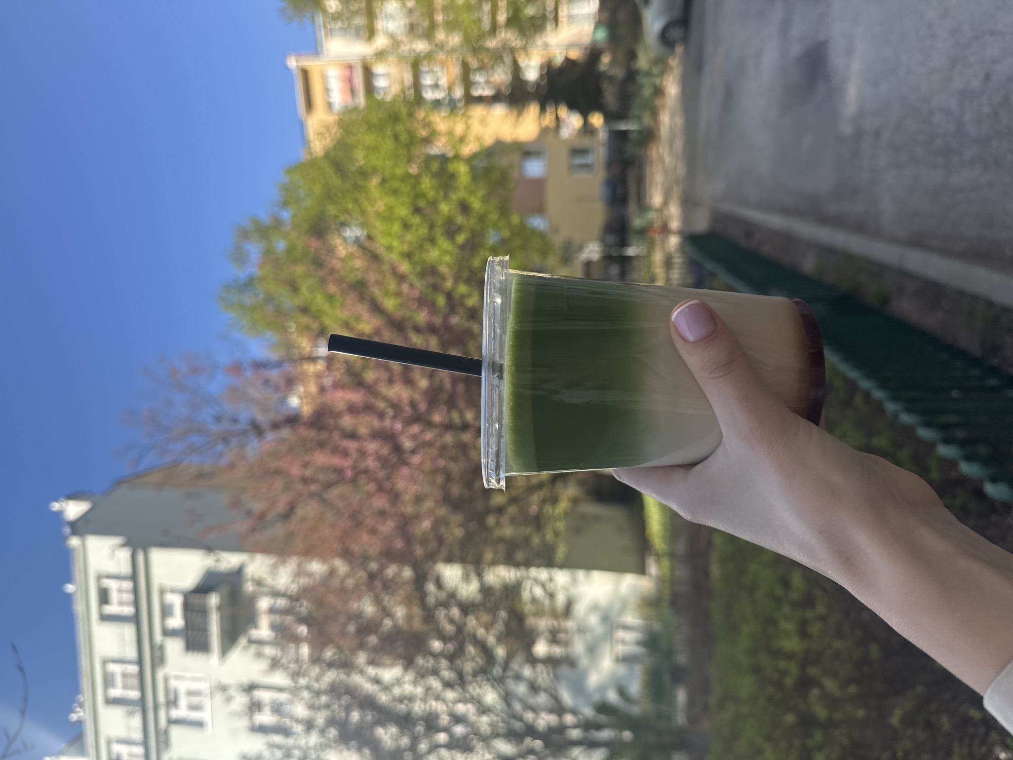 A person holds a clear plastic cup with a layered beverage outdoors on a sunny day. The drink features a dark green layer at the top, a white layer in the middle, and a brown layer at the bottom. A black straw is inserted in the cup. The person's hand is visible, with fair skin and manicured nails.
The background includes an urban scene with buildings, trees, and a section of what appears to be a fence or railing. The trees are in bloom, with some showing pink blossoms. The sky is blue and mostly clear. The buildings are of various colors, including yellow and white.
The image was taken in Warsaw, Poland.