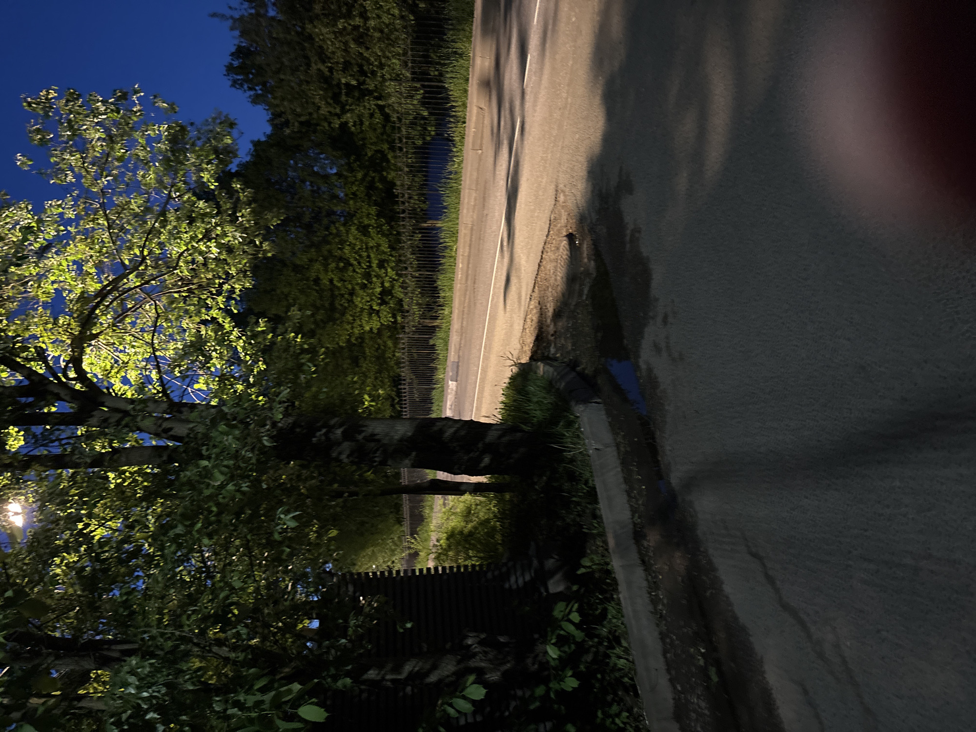 An upward-angled view of a street at dusk or night. A tree with illuminated foliage is visible on the left, contrasted against a dark blue sky. A fence runs along the side of the road where it meets the curb. The road itself is wet and reflects light, with tree shadows cast across its surface. The location is Saint Petersburg, Russia.