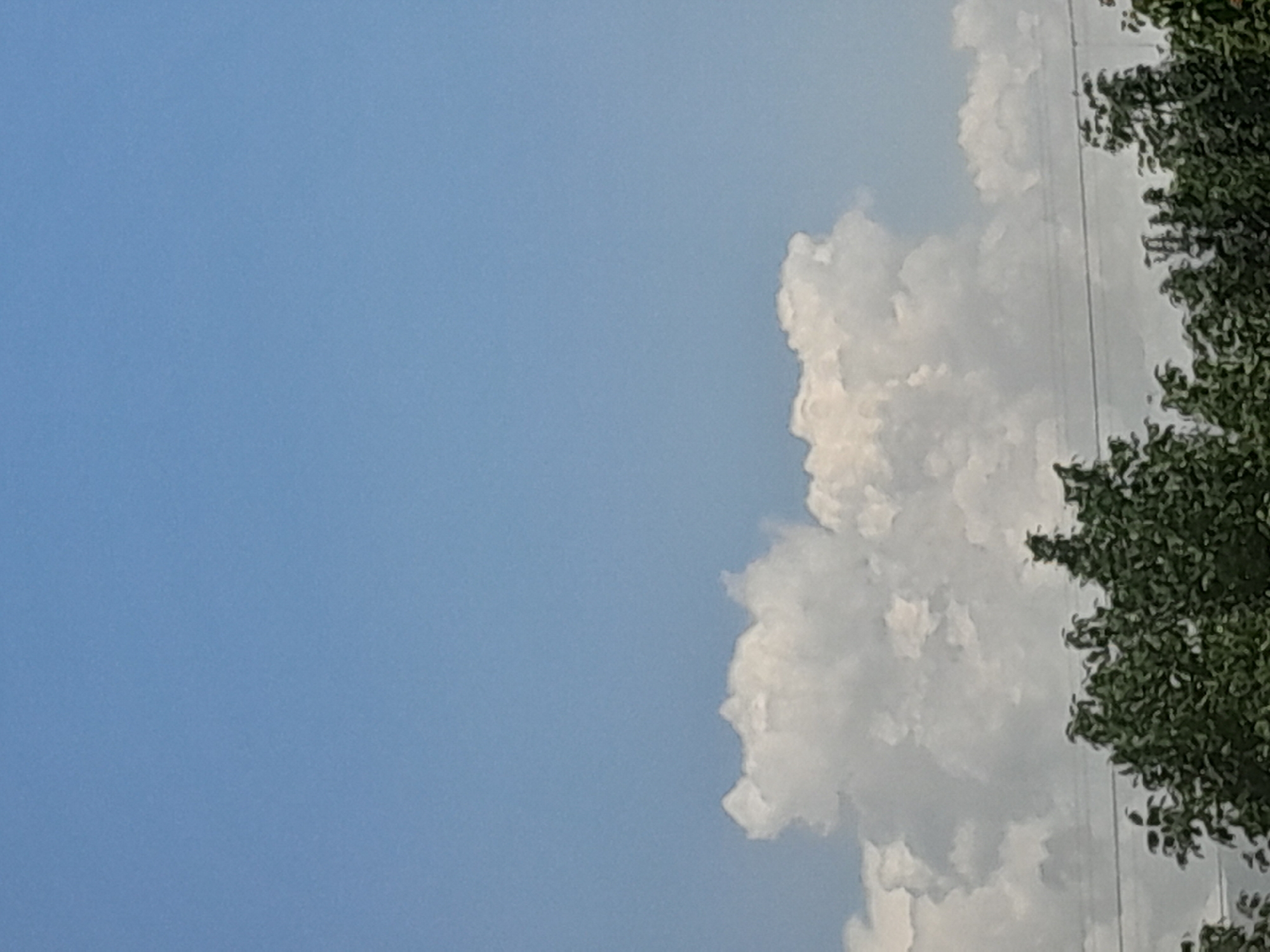 The image shows a portion of a cloudy sky with a tree on the right side. The sky is a clear blue and is partially filled with large, white cumulus clouds. The clouds are dense and fluffy, with clear separation between them. The tree is on the right edge of the frame and appears to be lush and green, with its leaves obscuring some of the sky and a power line running vertically behind it. The image appears to be taken during the daytime, with bright sunlight illuminating the clouds. The composition is vertical, with the sky occupying the majority of the frame on the left and the tree and clouds on the right. No people, objects, text, or specific activities are visible in the image. The overall mood is peaceful and serene, suggesting a pleasant day. The location is not identifiable from the provided image.
