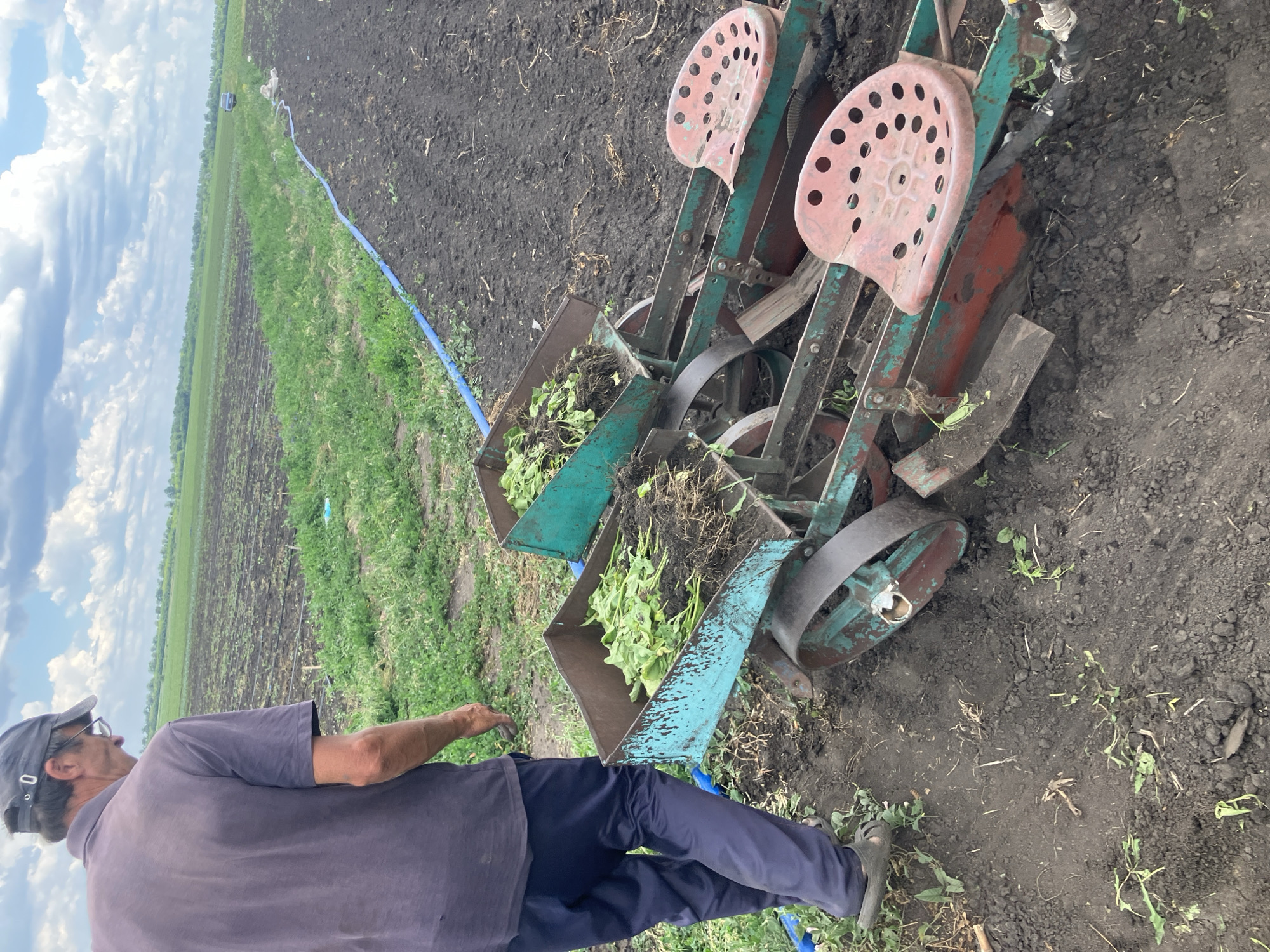 A man, wearing a grey t-shirt, dark blue pants, a grey baseball cap, and dark sandals, stands next to a two-row planter in a field outside of Berdianka, Ukraine. The planter, which appears to be manually operated or pulled by an unseen tractor, has two metal bins filled with green plant seedlings and their root systems. The seats on the planter are red and perforated. The man is facing away from the camera, looking down at the planter. The field is cultivated with dark soil and some green vegetation. A blue hose runs along the edge of the field. In the background, a large expanse of green fields stretches to the horizon under a cloudy sky.