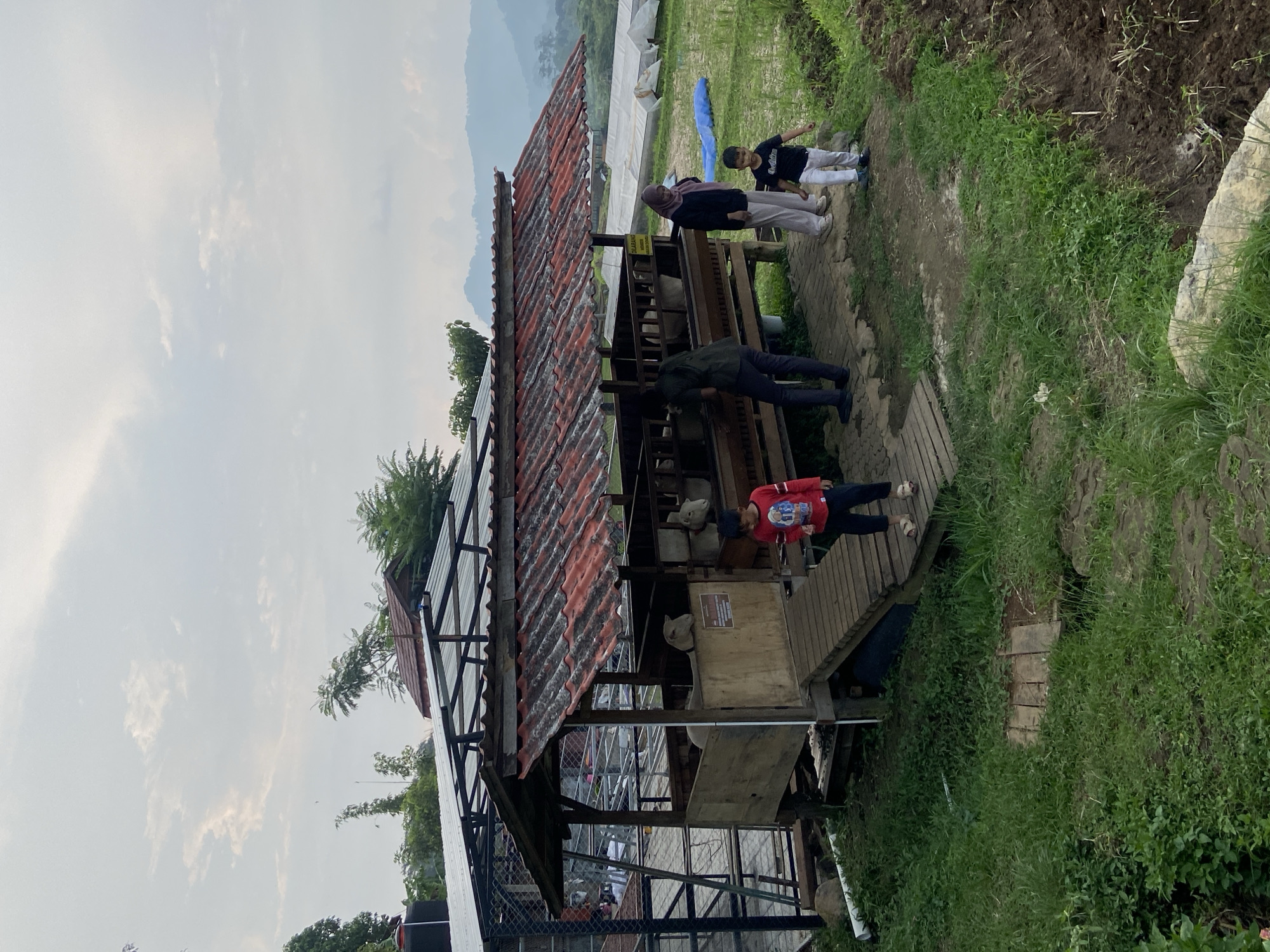 In Tamiajeng, Indonesia, a partially-roofed wooden structure with an attached caged enclosure stands alongside a grassy area. People, including adults and children, are present, some standing on a wooden walkway adjacent to the structure. The structure has a corrugated metal roof, and appears to house livestock. Beyond the structure, there is a terraced rice paddy landscape and a cloudy sky.
