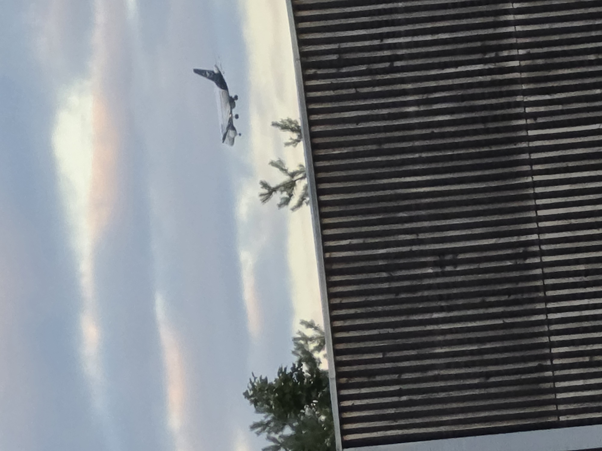 An airplane is depicted in flight against a cloudy sky. Below the airplane, a wooden fence with vertical planks is visible, along with some trees. The airplane appears to be a commercial jetliner, with its landing gear extended, suggesting it is either preparing to land or has just taken off. The sky is partly cloudy with some areas of pinkish hue, indicating it might be dawn or dusk. The overall scene suggests an outdoor setting near an airport. The location is identified as Flörsheim, Germany.