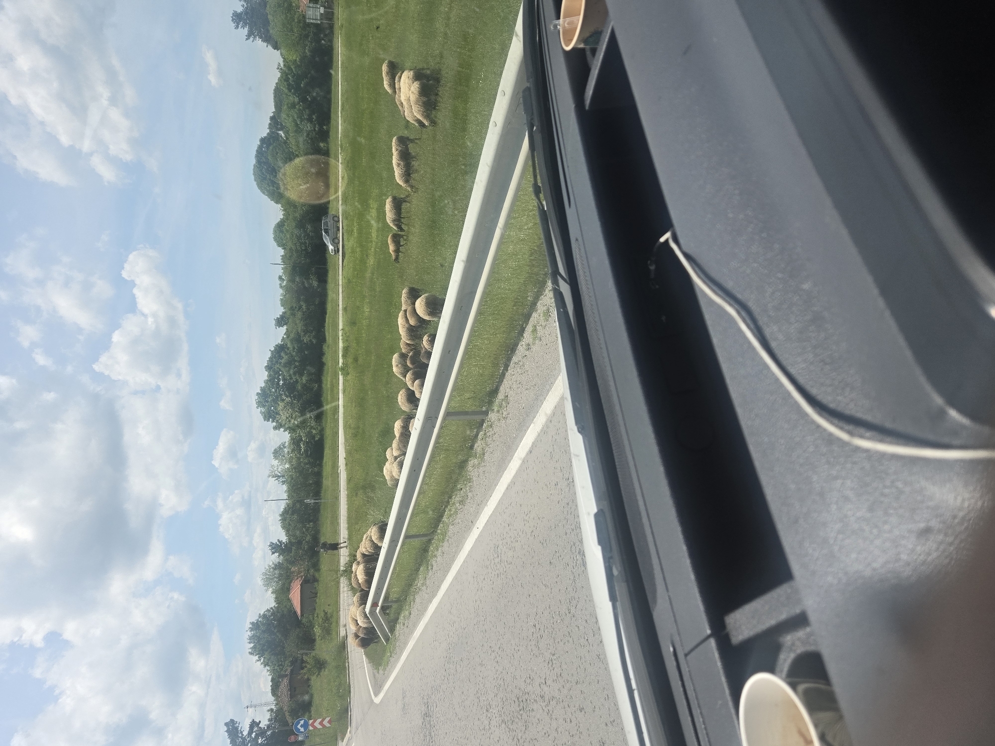 The image, taken from the interior of a vehicle looking out, captures a rural roadside scene under a bright, partly cloudy sky. In the foreground, the dark gray dashboard or door panel of the vehicle is visible, with a white cable draped across it and a white paper cup in a holder.
Beyond the vehicle, a grey asphalt road with a white line runs alongside a metal guardrail. To the left of the road and guardrail, a large flock of light brown, woolly sheep is scattered across a vibrant green grassy field. The sheep appear to be grazing or resting in the sunlight. Further back in the field, a lone person, likely a shepherd or herder, is visible among the sheep.
In the mid-ground, a silver car, possibly an SUV, is parked or driving on a dirt path next to the field. The background features a dense line of green trees stretching across the horizon, with some distant buildings or structures barely discernible through the foliage. A red-roofed building is faintly visible to the left among the trees. The sky is a clear blue with scattered white cumulus clouds. A blue road sign with a white arrow indicating a right turn is partially visible near the bottom left, along with some red and white chevron markings, but no legible text is clear. The scene suggests a peaceful, daytime setting in a countryside or pastoral area.