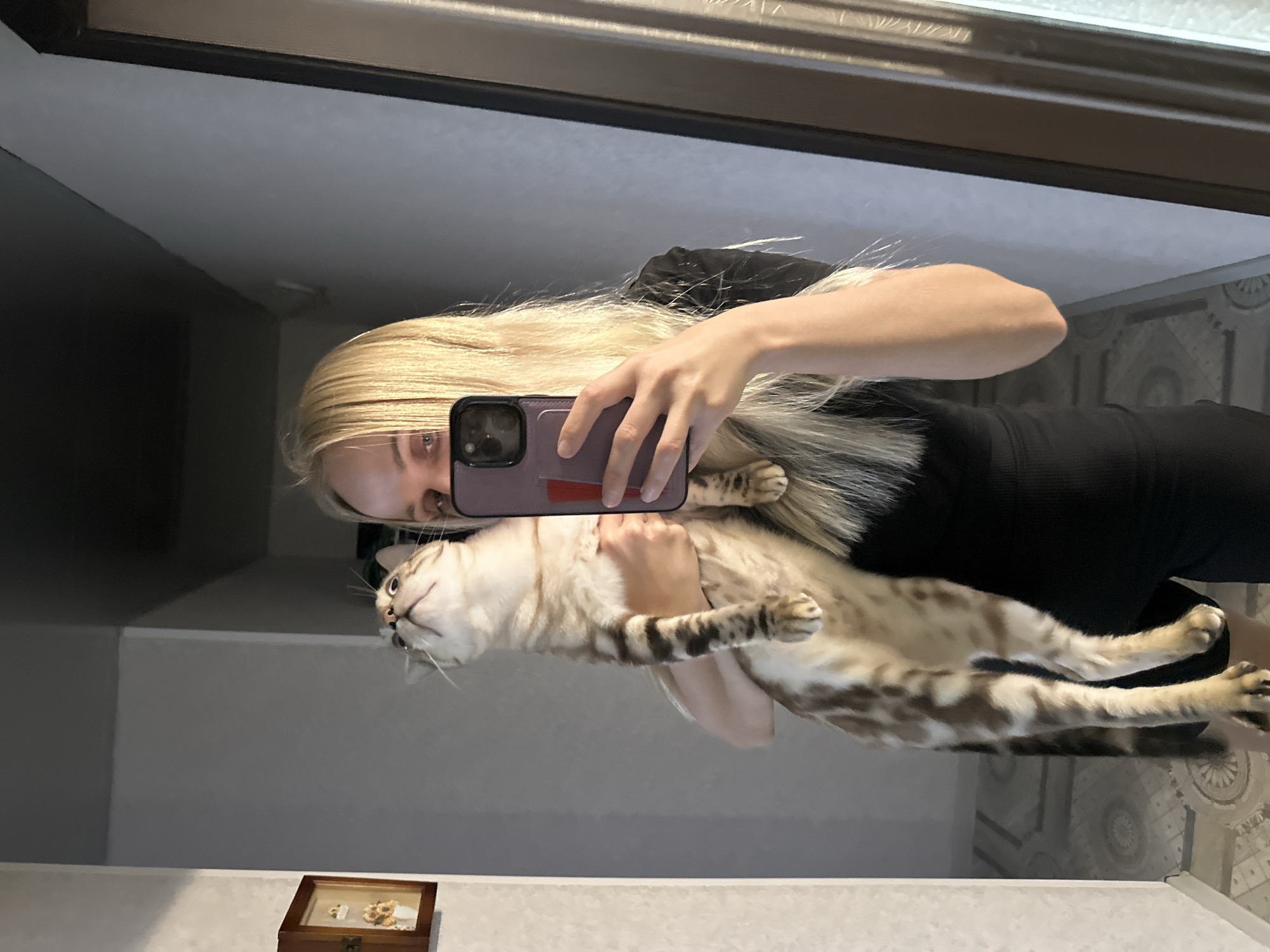 In an indoor setting, possibly a hallway or room in Energetik, Russia, a blonde woman holds a large, light-colored tabby cat. The woman is taking a selfie using her phone, which is held in her right hand. She is wearing a black, ribbed, sleeveless dress. The cat, held vertically, has its head tilted upwards, looking towards the ceiling. Its fur exhibits distinct tabby markings, with stripes on its legs and body. The background shows a wall with a framed picture on the left, and a reflective surface, likely a mirror or a glass door, on the right. The floor appears to be tiled with a decorative pattern.