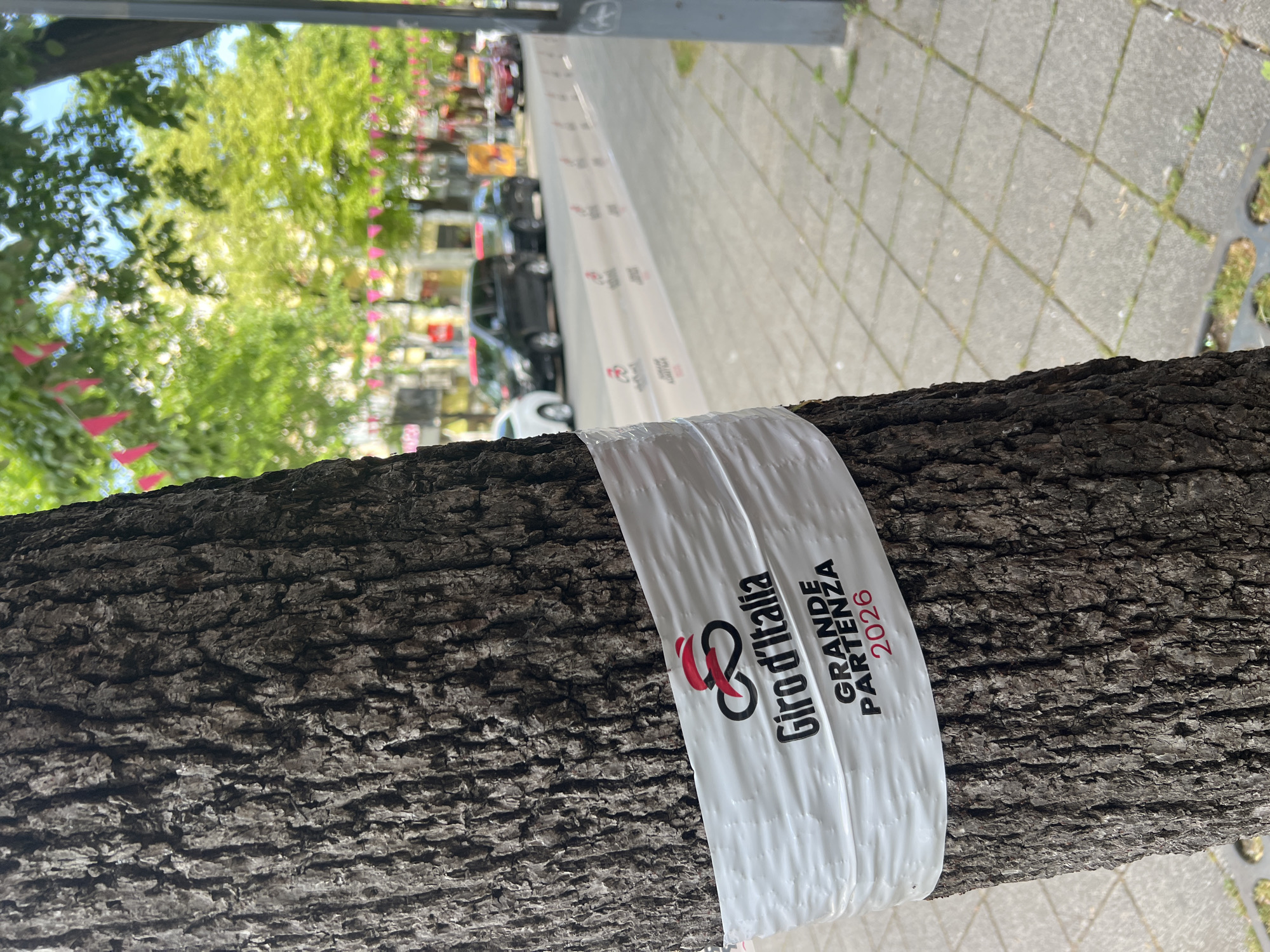 The image captures a promotional banner for the "Giro d'Italia Grande Partenza 2026" wrapped around a tree trunk. The banner is white with black and red lettering and graphics. The tree is located on a street, and the background shows a sidewalk made of grey pavers, and cars parked along the street. Pink triangular pennants are strung up on buildings in the background, and green trees and blue sky are visible above the buildings. The location is Burgas, Bulgaria, based on the placement of these banners along the street.