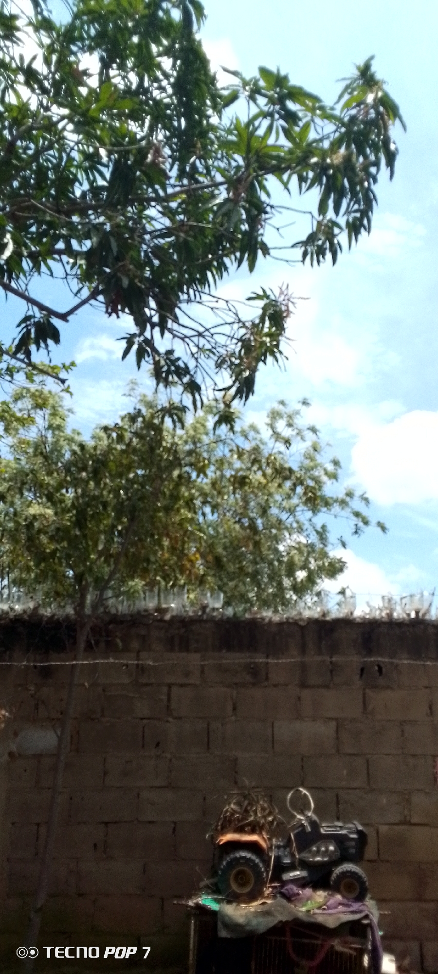 The image shows a portion of a backyard in Altagracia, Venezuela. A cinder block wall topped with glass bottles is visible, suggesting a security measure. In front of the wall is a child's toy tractor sitting on a makeshift stand composed of wood and cloth. Overhead, tree branches and leaves fill the upper portion of the frame, obscuring part of the sky. The sky is visible through the leaves and branches. The overall setting appears to be a residential area. The photograph was taken with a Tecno Pop 7 camera.