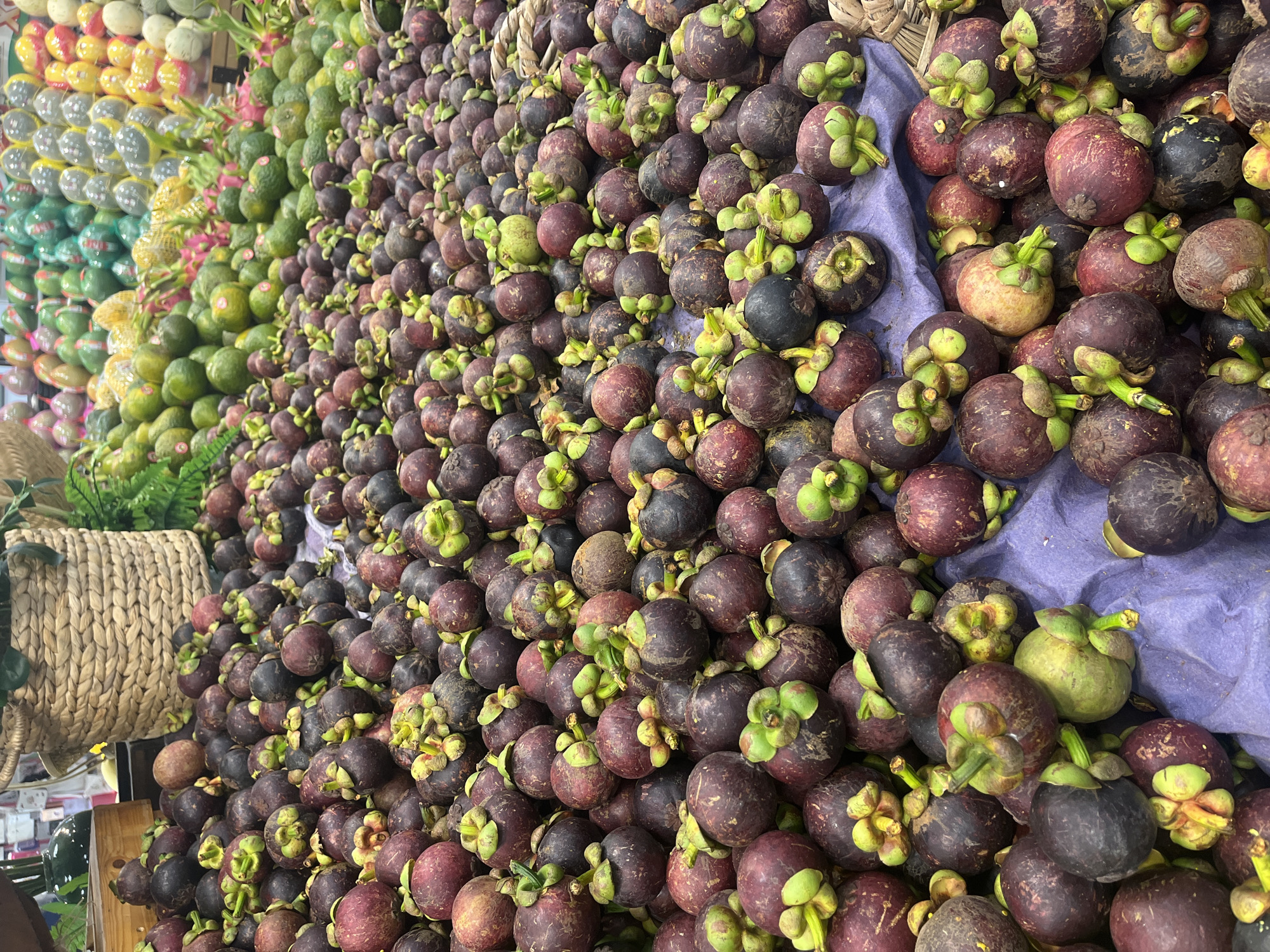 This is a close-up, eye-level shot of a large pile of mangosteens at a market stall in Nha Trang, Vietnam. The fruit, predominantly dark purple with green stems, fills the frame. Some mangosteens are lighter in color, appearing to be less ripe or a different variety. They are arranged on a purple cloth spread on a surface. In the background, other fruits like avocados and dragon fruit are visible, along with woven baskets and grocery shelves. The overall impression is a vibrant display of fresh produce in a bustling market environment.