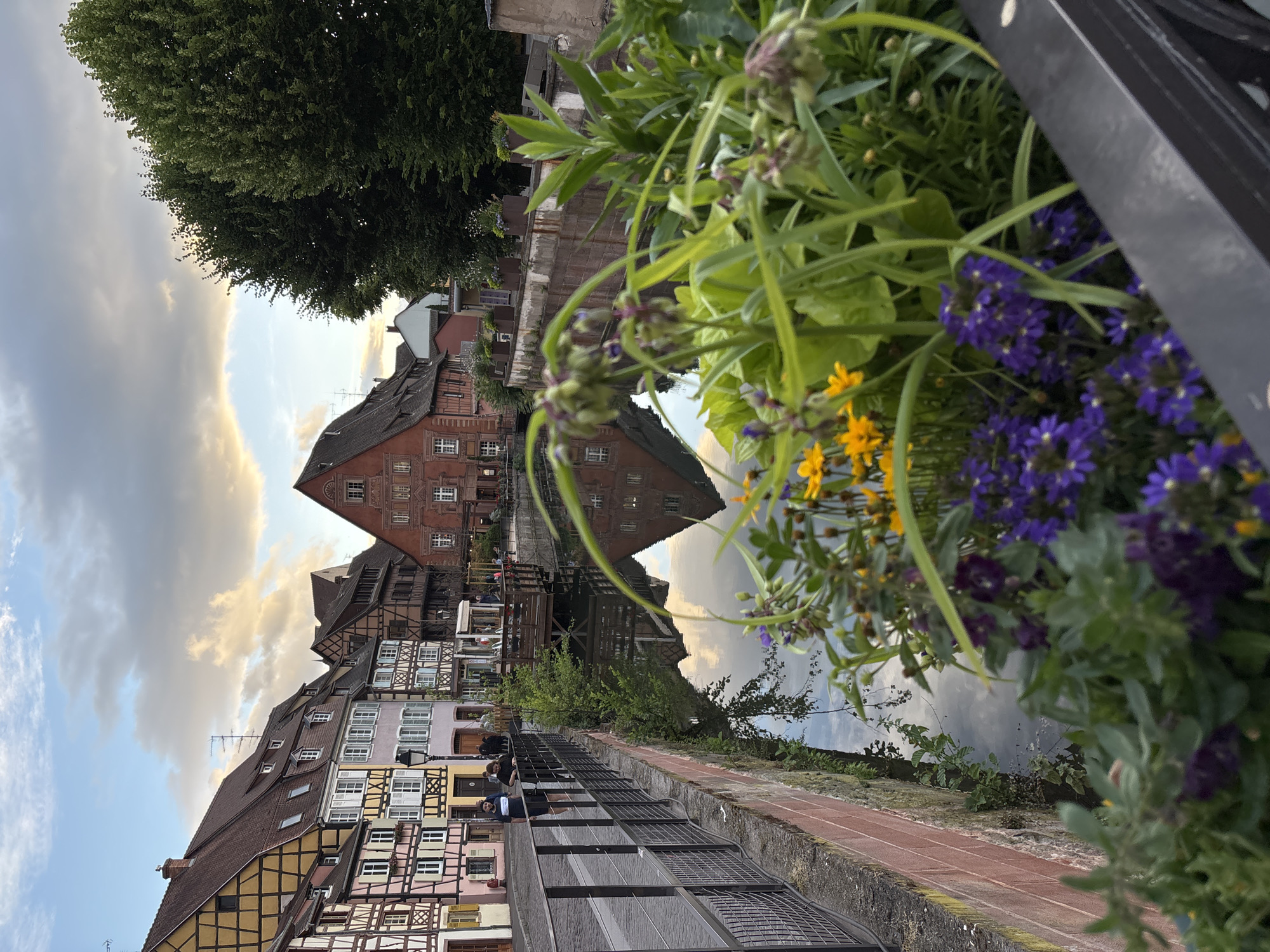 The image depicts a canal in Colmar, France, specifically in the area known as Petite Venise (Little Venice). The canal runs parallel to a cobblestone street lined with traditional half-timbered Alsatian houses painted in various pastel colors. On the left side of the canal, a metal railing separates the street from the water. Two individuals are walking on the street, one wearing a dark blue t-shirt and shorts, the other in a dark top and pants. A lamp post stands on the sidewalk.
The water of the canal reflects the sky, the colorful buildings, and a wooden structure extending over the water. In the foreground, a planter box overflows with lush green foliage, interspersed with clusters of small purple flowers and yellow wildflowers. Trees with dense green canopies are visible further down the canal on the right bank, contrasting with the architectural backdrop. The sky above is a mix of blue and dramatic clouds, with hints of sunset light filtering through. The overall scene captures the picturesque charm of Colmar.