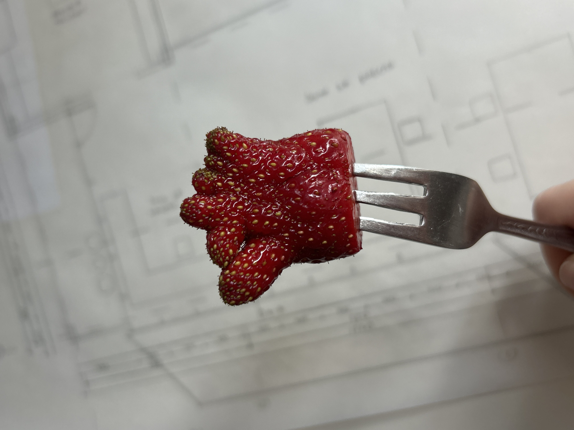 A close-up shows a deformed, red strawberry impaled on a silver fork held by a fair-skinned hand. The background is a white paper with architectural blueprints or technical drawings. The location, Plovdiv, Bulgaria, is not identifiable from the image alone.