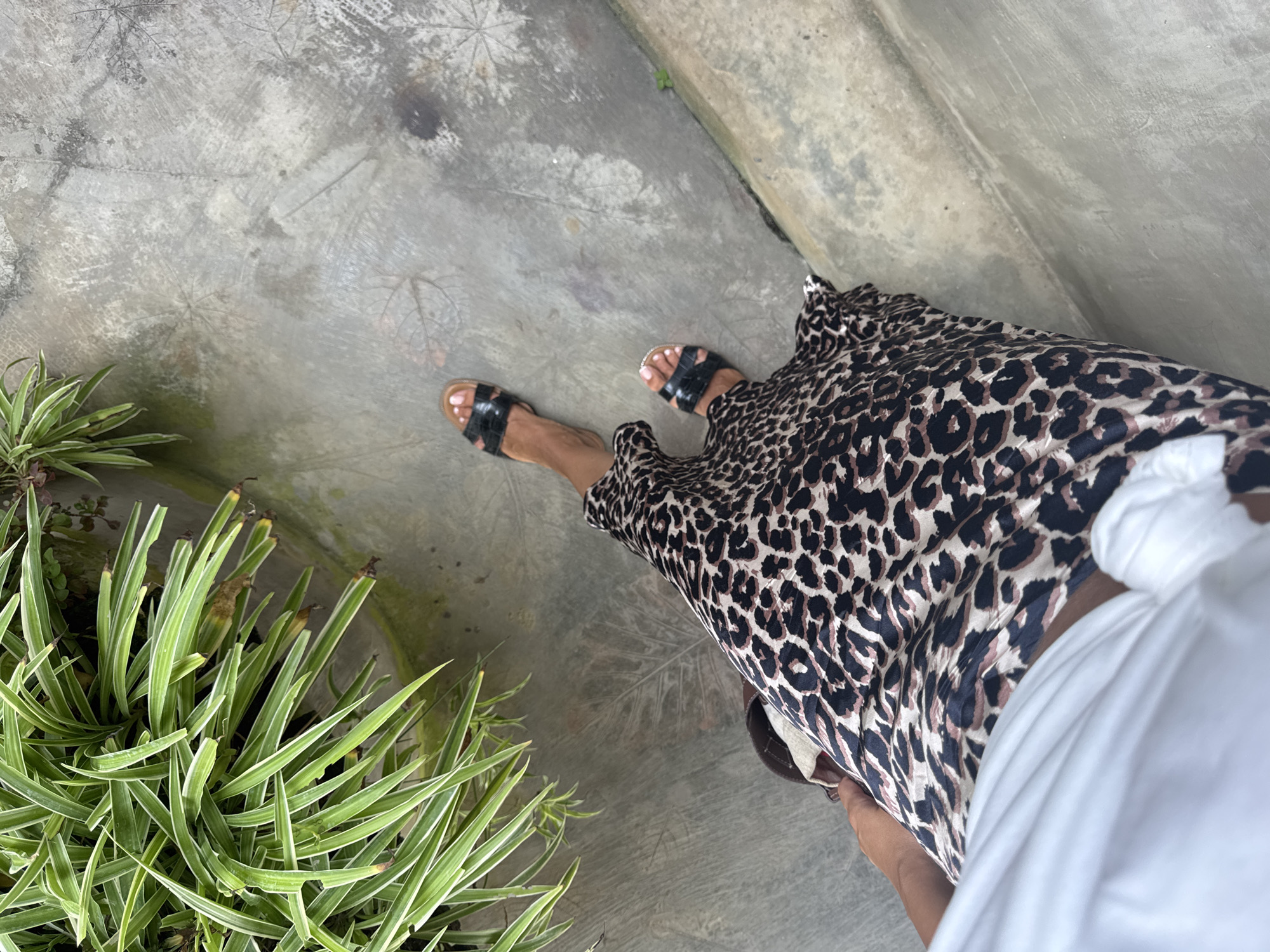 An overhead shot shows a person wearing sandals and a leopard-print skirt, standing on a concrete surface with leaf-like patterns. A cluster of green and white striped plants sits to the left. The environment includes a concrete wall and floor, possibly in Đà Nẵng, Vietnam. The person is wearing a white shirt, but only part of it is visible. The footwear consists of dark-colored, strappy sandals.