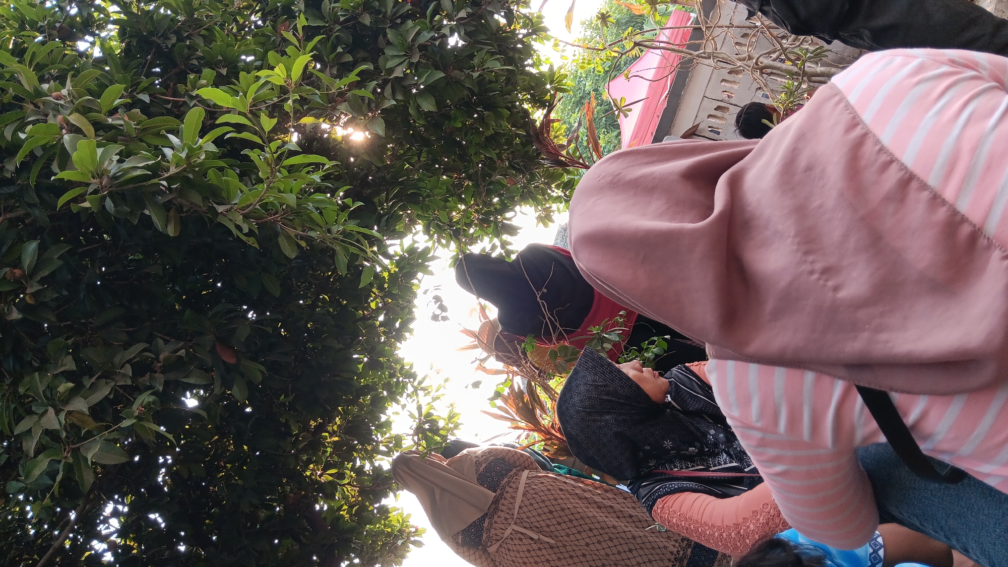 In the city of Cerme, Indonesia, an outdoor scene unfolds beneath the dappled sunlight filtering through the dense green foliage of a tree. Several individuals, primarily women wearing hijabs, are gathered. In the foreground, the back of a person wearing a pink and white striped shirt and a mauve hijab is visible. To their left, a woman in a black patterned hijab and a coral-colored top is looking downwards, her head tilted slightly. Behind her, partially obscured, is a person in a black hijab and red garment. Further to the left, another individual in a patterned brown and cream hijab is also visible. The environment suggests a casual gathering, possibly in a residential area, with a glimpse of a red-roofed structure and a low wall in the background. The lighting indicates it is daytime, with the sun creating lens flare effects through the leaves.