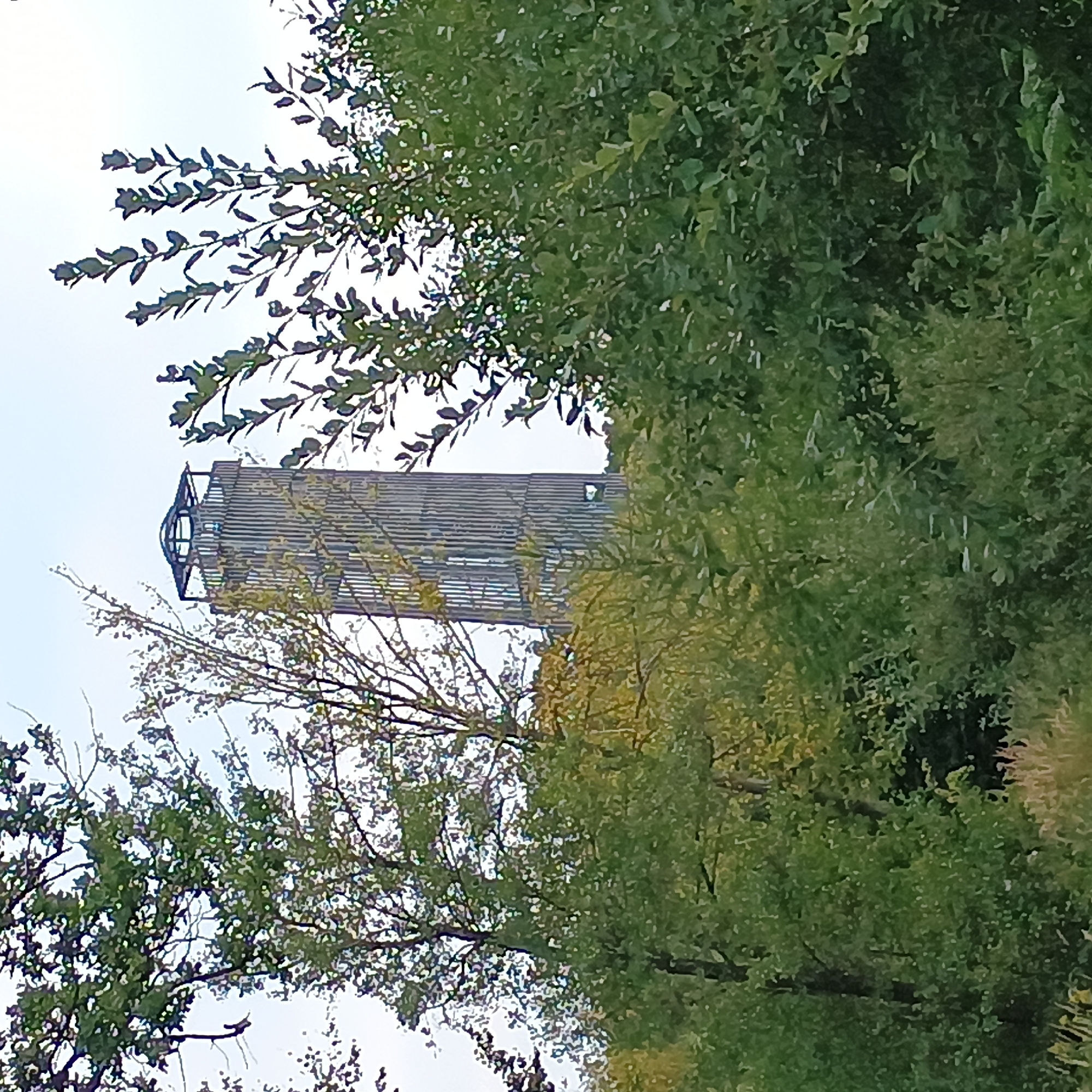 The image shows a tall, slender tower constructed of vertical wooden slats, with a metal framework at its apex, peeking through a dense canopy of green trees and foliage. The tower appears to be a lookout or observation tower, possibly made of wood and metal. The surrounding environment is lush with greenery, suggesting an outdoor, possibly wooded, area. The sky is overcast and a pale blue-grey. This tower is the Möhnesee Viewing Tower (Möhnesee-Aussichtsturm) located in the municipality of Möhnesee, Germany.