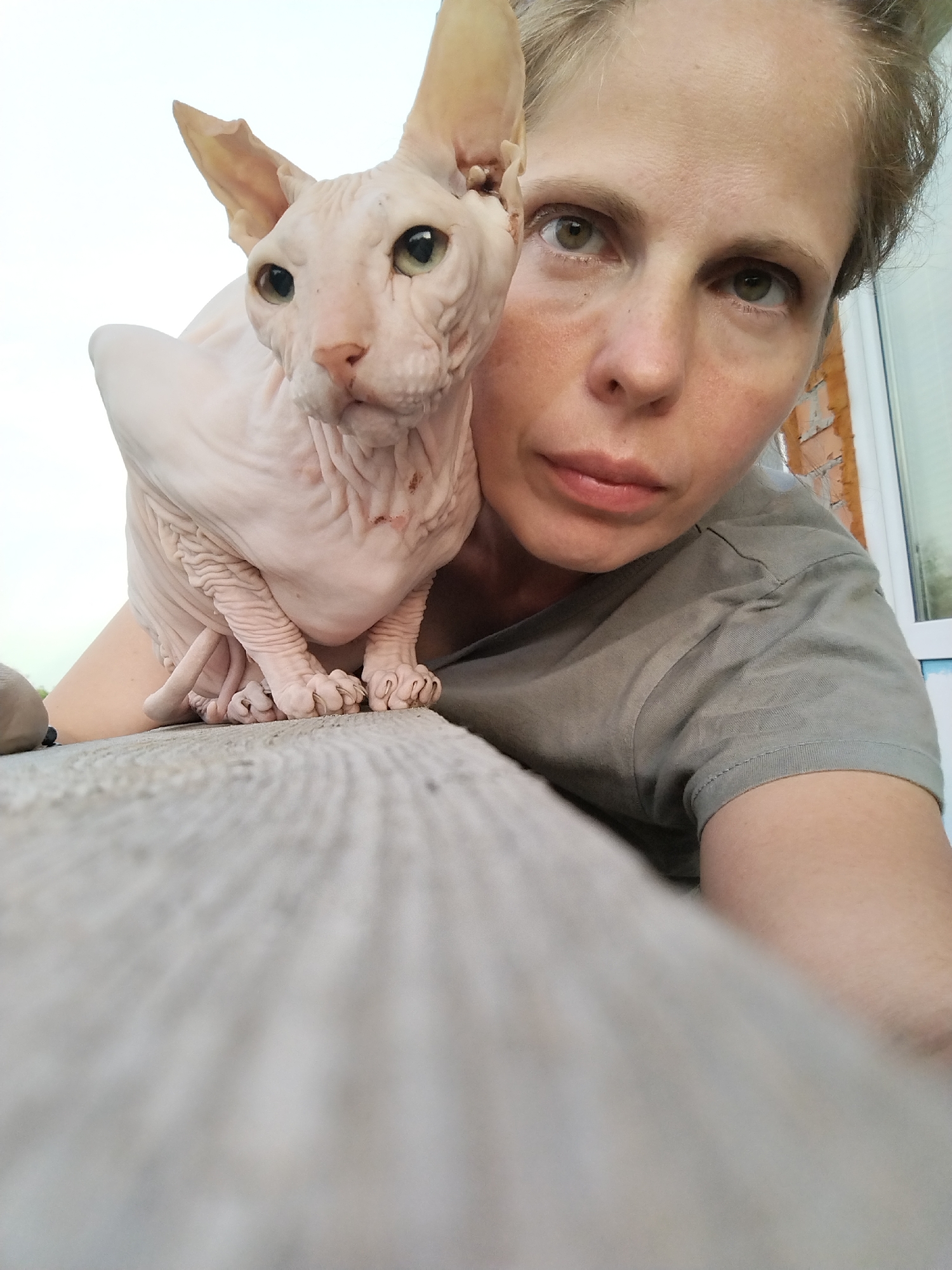 The media file is a selfie of a woman with a Sphynx cat. The woman is in the foreground, with her face close to the camera. She has fair skin, light brown hair pulled back, and green eyes. She is wearing a grey t-shirt. The cat is a light pink Sphynx with large ears and wrinkled skin. It is sitting on the woman's shoulder or arm, and its paws are visible resting on a textured, light-colored surface that appears to be furniture. The background is slightly out of focus, showing a brick wall and a window. The lighting suggests it is daytime, possibly indoors. The overall mood of the image is casual and intimate. The photograph was taken in Zavodoukovsk, Russia.