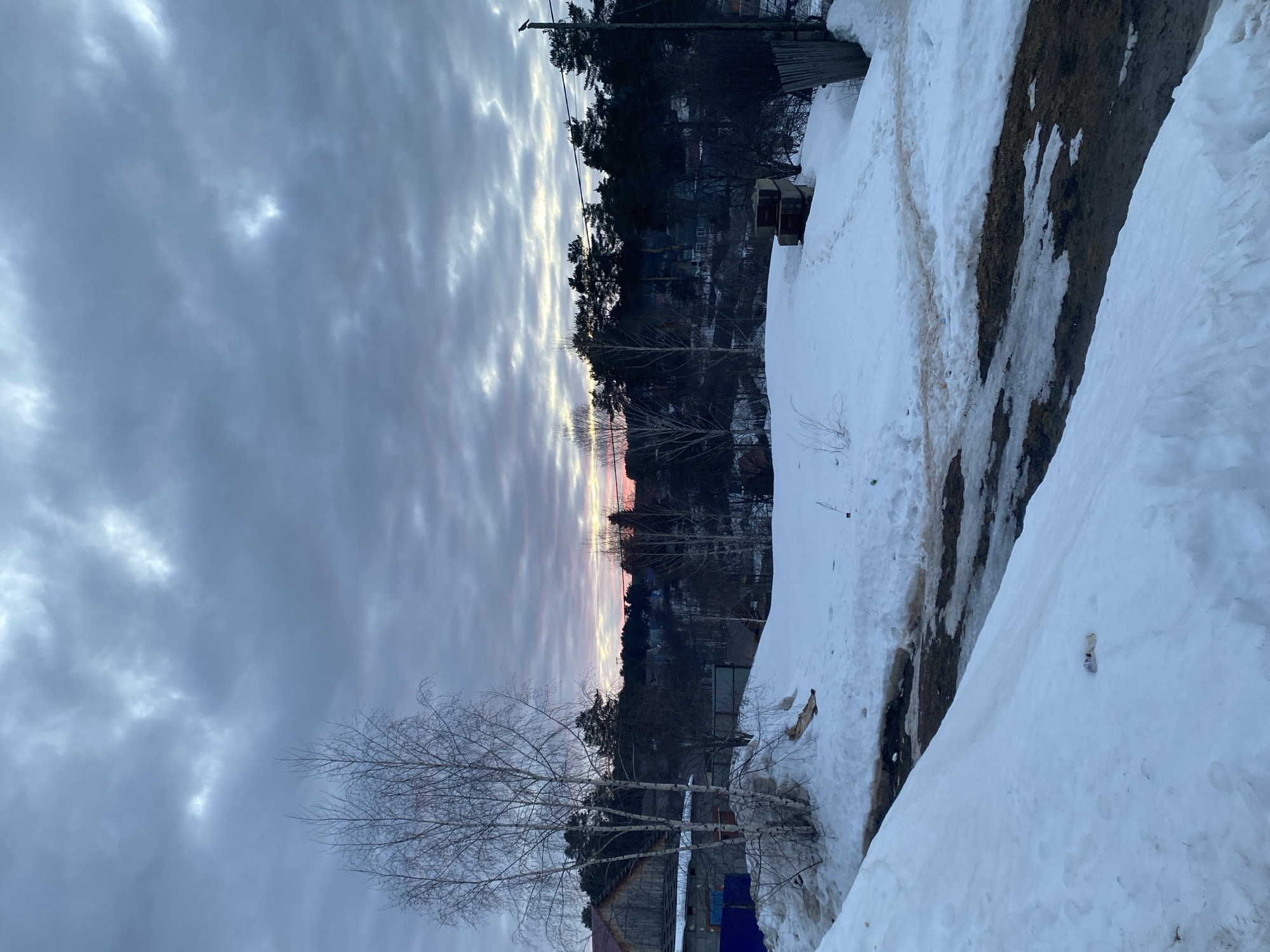 This image captures a winter or early spring scene in a residential area of Chaikovsky, Russia, during twilight hours, indicated by the low sun casting a faint pink and orange glow on the horizon beneath a heavily overcast sky dominated by grey and blue clouds. The foreground consists of a sloping, snow-covered terrain, interspersed with patches of exposed dark, damp earth or mud, suggesting melting. A path or track, possibly for foot or light vehicle traffic, cuts through the snow and mud. Several bare, white-barked birch trees stand prominently in the midground on the left, partially obscuring a two-story residential structure with wooden elements and blue sheeting. To the right, a stack of concrete blocks rests on the snow, adjacent to a weathered wooden fence structure and a utility pole. A small dark bird is perched atop the utility pole. Footprints are discernible in the snow leading towards the concrete blocks. The background features a dense line of dark coniferous trees, likely pines, which partially conceals a cluster of distant houses with varying roof colors and designs, nestled in a valley or lower elevation. No individuals or active vehicles are present in the scene.