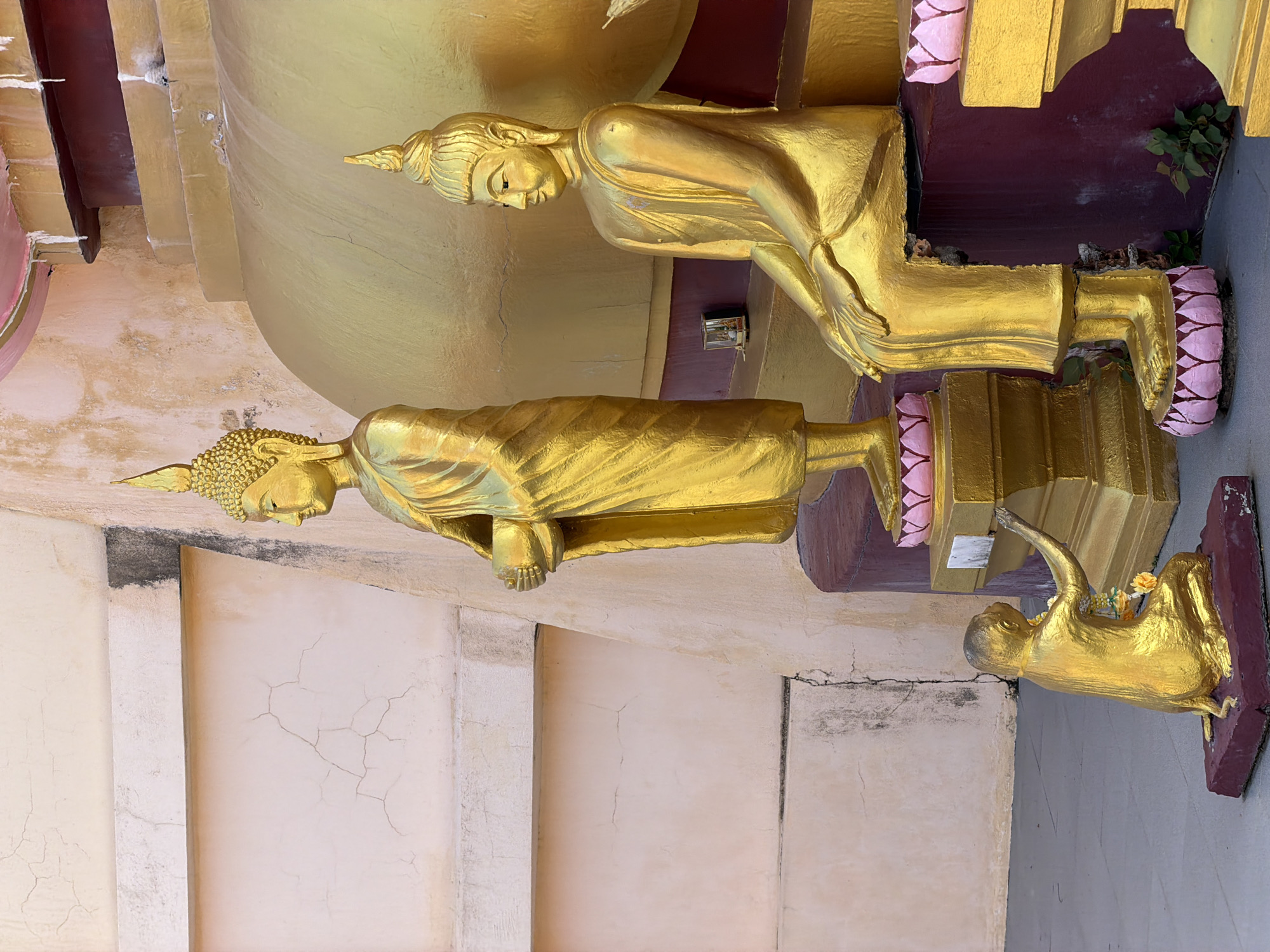 The image depicts a scene at the Baan Plai Laem temple in Koh Samui, Thailand, featuring several golden statues. In the foreground, a small, kneeling golden monkey statue is shown with its back to the camera, facing a larger golden Buddha statue. The monkey appears to be placing something on a small altar. To the right of the monkey, a standing golden Buddha statue is depicted in profile, holding a bowl. Further to the right, a seated golden Buddha statue is prominently displayed. Behind the statues, a large, golden structure, likely part of the temple, serves as the backdrop. The area around the statues is paved, and the background shows a light-colored, textured wall with some cracks. Small green plants are visible growing at the base of the seated Buddha statue.