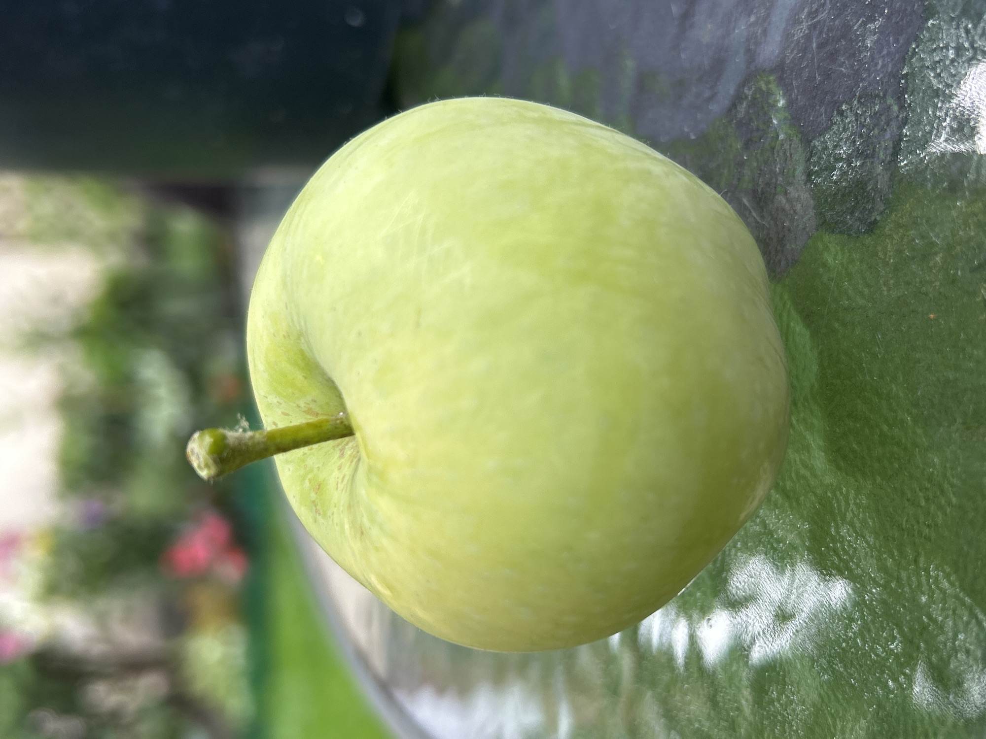 A single, light green apple with a short stem rests on a textured, green glass surface. The apple is positioned slightly off-center in the frame, with its stem pointing upwards and slightly to the left. The background is blurred, showing hints of green grass, colorful flowers, and a dark, indistinct object, likely a planter. The lighting suggests an outdoor, possibly garden setting. There are no people or discernable actions in the image. The location in Tczew, Poland cannot be determined from the visual information provided.