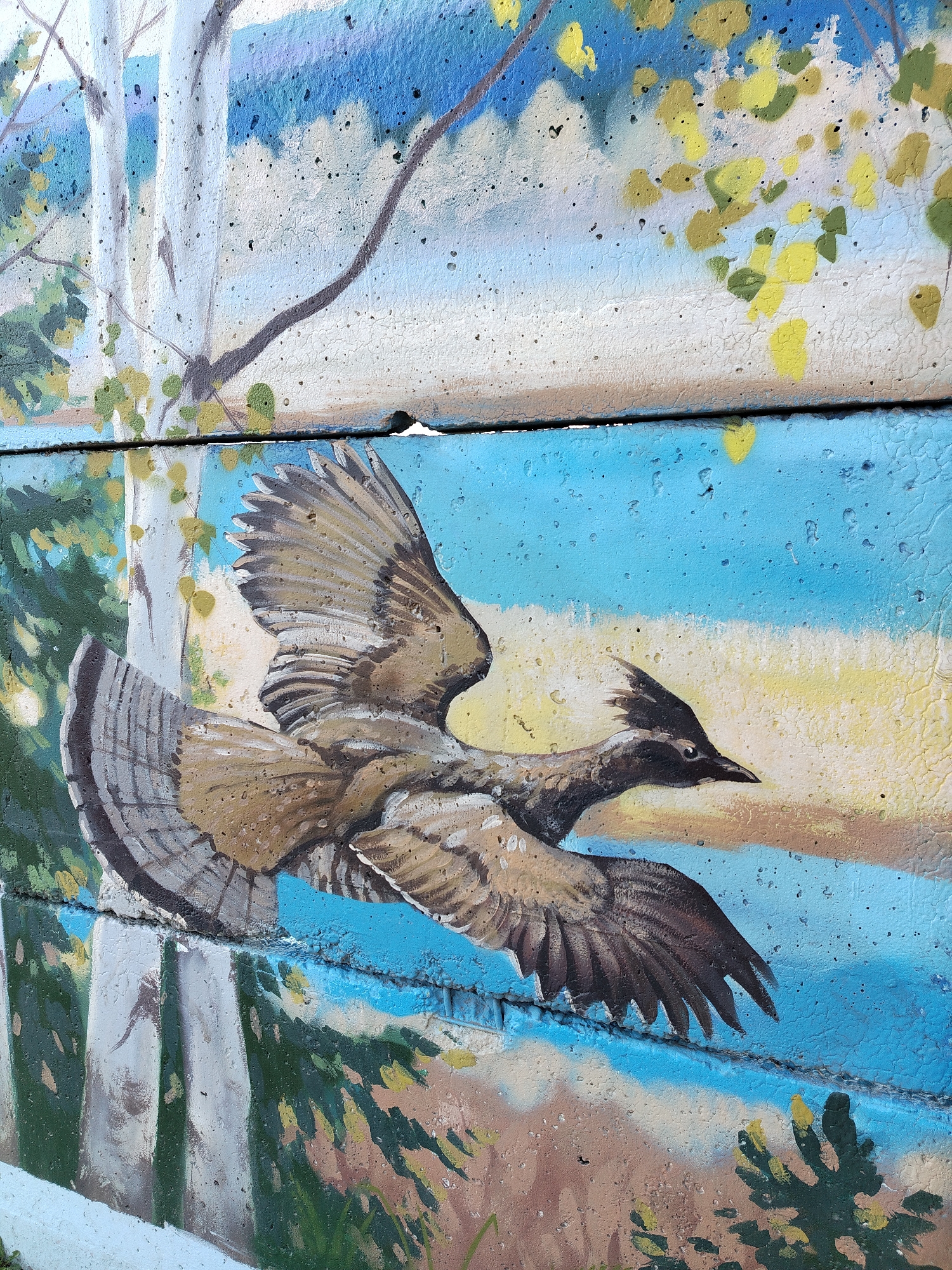 The image shows a mural on a concrete wall in Chaikovsky, Russia. The mural depicts a bird in flight against a backdrop of trees and a sky. The bird has brown and tan plumage with dark brown wingtips. The background includes white birch trees with green foliage at the bottom, transitioning to a blue and yellow sky at the top. The concrete wall is made up of stacked blocks.