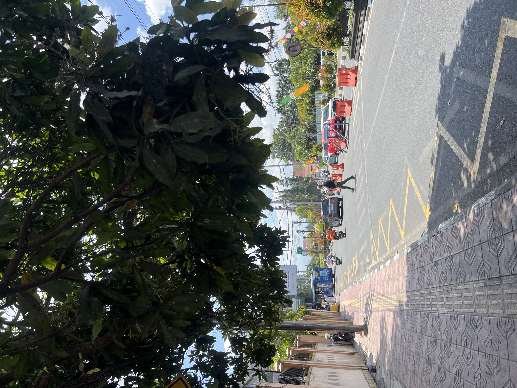 This image depicts a street scene in Yogyakarta, Indonesia, under a canopy of lush green trees. The foreground features a textured tiled sidewalk with tactile paving for the visually impaired. To the right of the sidewalk is a road with yellow markings, indicating a crosswalk or waiting area. Several vehicles are visible on the road, including a blue bus, motorcycles, a silver car, and a red car. Orange traffic barriers are strategically placed on the road, suggesting temporary lane closures or construction. A pedestrian is crossing the street. Buildings with cream-colored walls and decorative fences line the sidewalk on the left. The background reveals a mix of greenery, utility poles, and distant structures under a partly cloudy sky. Flags with red and yellow colors are visible, adding a festive touch to the environment.