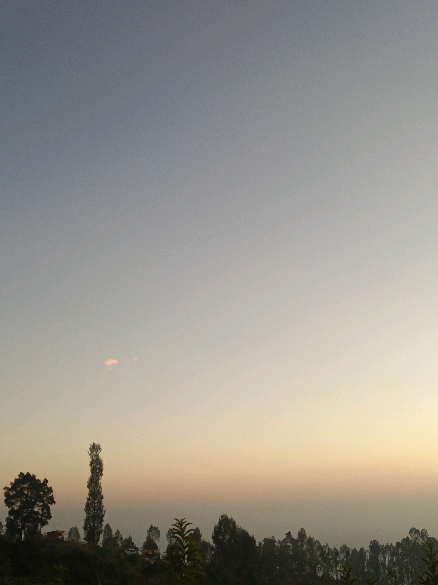 The image depicts a wide shot of a landscape at dawn or dusk, characterized by a gradient sky transitioning from a pale blue at the top to hues of orange and yellow near the horizon. A few wispy clouds are visible, one with a faint pinkish tinge. In the foreground, silhouetted against the lighter sky, is a line of trees and vegetation that forms a natural horizon. The trees vary in height and density, with some appearing as distinct silhouettes and others blending into a more uniform band of dark green. One particularly tall, slender tree stands out among the others. In the mid-ground, there are hints of human settlement, with what appear to be small structures or buildings nestled amongst the trees. A vehicle is also partially visible. The overall atmosphere is serene and natural, suggesting a rural or semi-rural environment. The location is identified as Butuh Kidul, Indonesia.