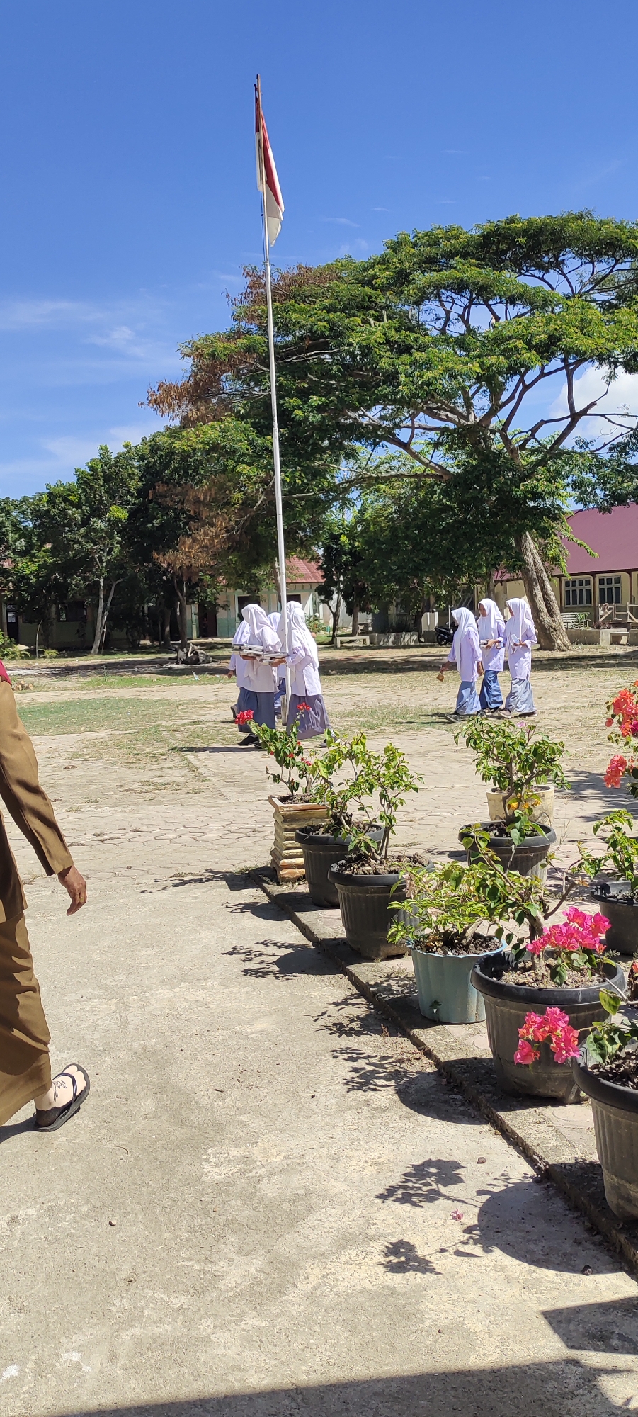 In Langnibong, Indonesia, a group of students in white uniforms and hijabs are walking on a dirt and paved area in front of school buildings. A flag pole with the Indonesian flag is visible in the foreground, and several potted plants with pink and green foliage line the paved walkway. A person in a brown uniform is walking away from the camera, and shadows of trees and plants are cast on the ground. The sky is clear and blue.