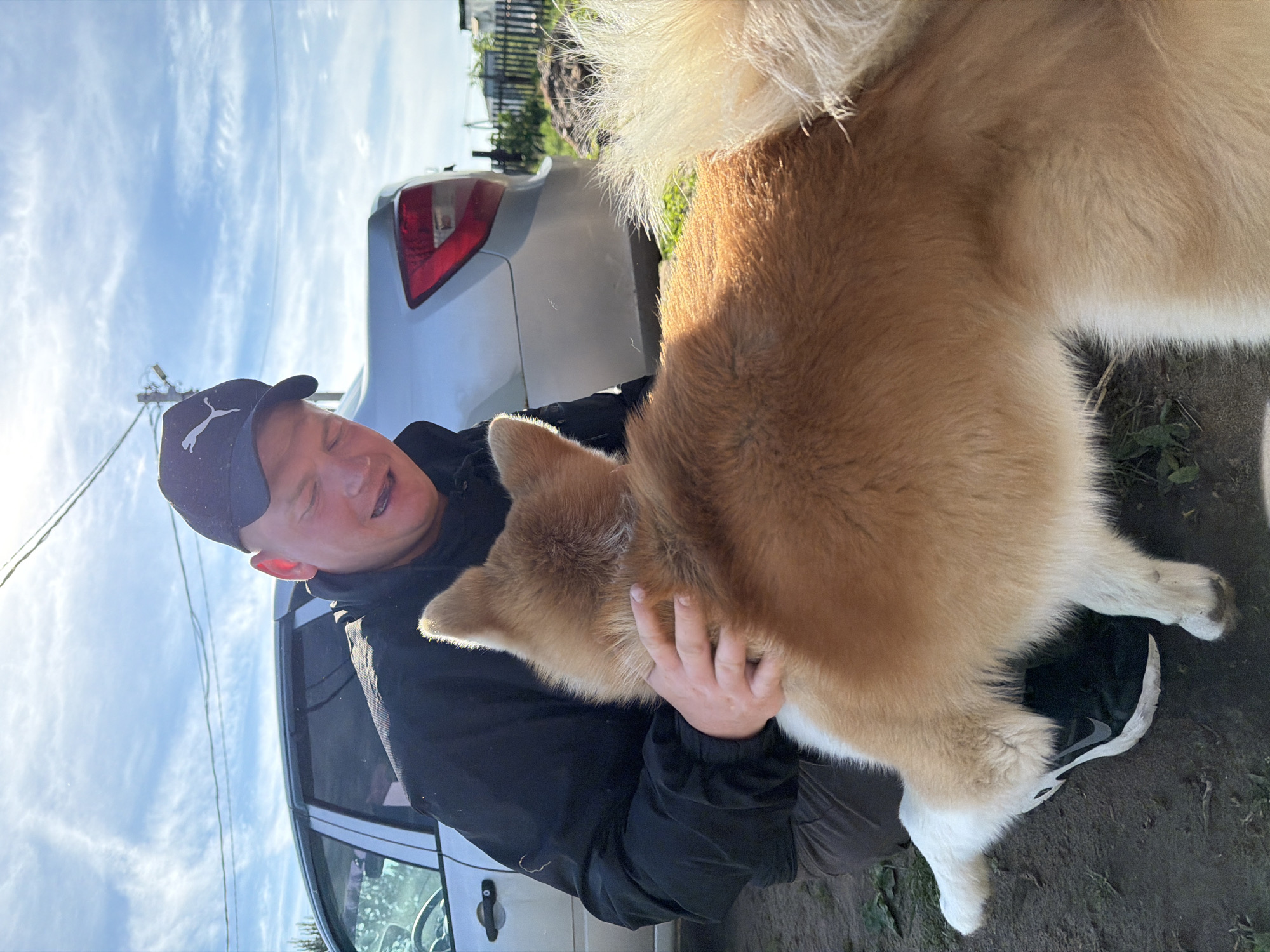 This outdoor image, taken in Chaikovsky, Russia, captures a man holding a fluffy dog on a bright day. The man, positioned to the left, wears a dark jacket, dark pants, and a dark baseball cap featuring a white puma logo. He is smiling widely, looking at the dog he is holding in his arms.
The dog, a medium-sized breed possibly an Akita or Shiba Inu, has thick, light brown/ginger fur with white fur on its chest, legs, and a distinctively fluffy, curled white-tipped tail visible over its back. Its body appears relaxed as the man supports it with his hands.
In the background, a light-colored (possibly silver) car is partially visible. The setting appears to be an unpaved area, possibly a driveway or yard, with patches of dry earth, sparse green foliage, and a wooden fence further back. The sky is bright blue with scattered wispy clouds, suggesting clear weather during the day, likely morning or afternoon. Power lines are visible against the sky in the upper left. The man's left foot, wearing a dark shoe with a white sole and a Nike swoosh, is on the ground. The image conveys a moment of affection and happiness between the man and the dog.
