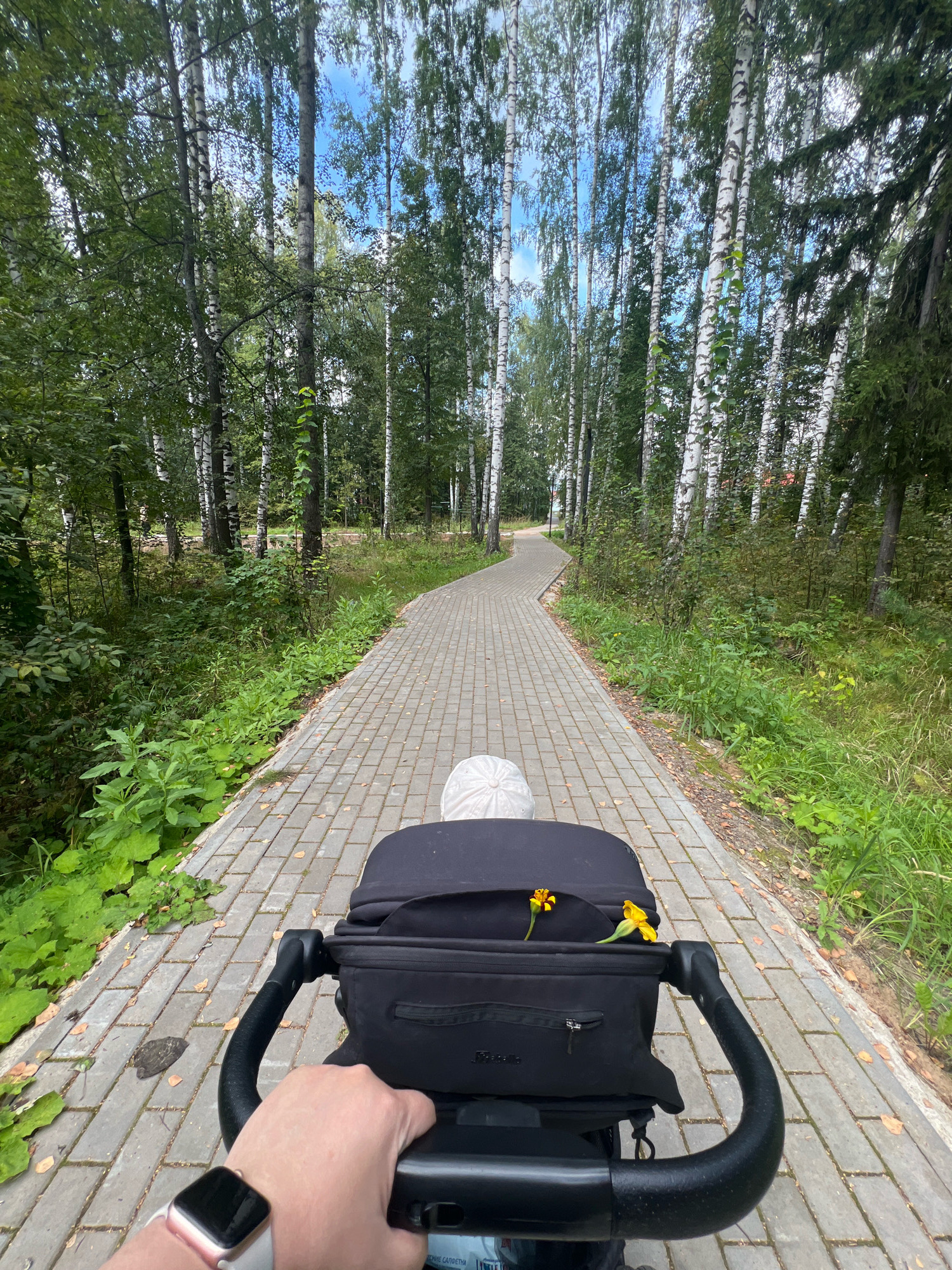This is a first-person perspective shot from someone pushing a stroller on a paved walkway in a park with birch trees. The walkway is made of light gray pavers and curves to the left in the distance. On either side of the walkway, there is lush green grass and dense foliage, with the tall, white-barked birch trees forming a canopy overhead. The sky, visible through the trees, is bright blue with some white clouds. The stroller is black and has two small yellow flowers tucked into a pocket on the front. A person's hand wearing a smartwatch is visible on the right side of the frame, holding the stroller handle. The scene appears to be in a wooded area within the city of Noviy, Russia, suggesting a pleasant outdoor environment.
