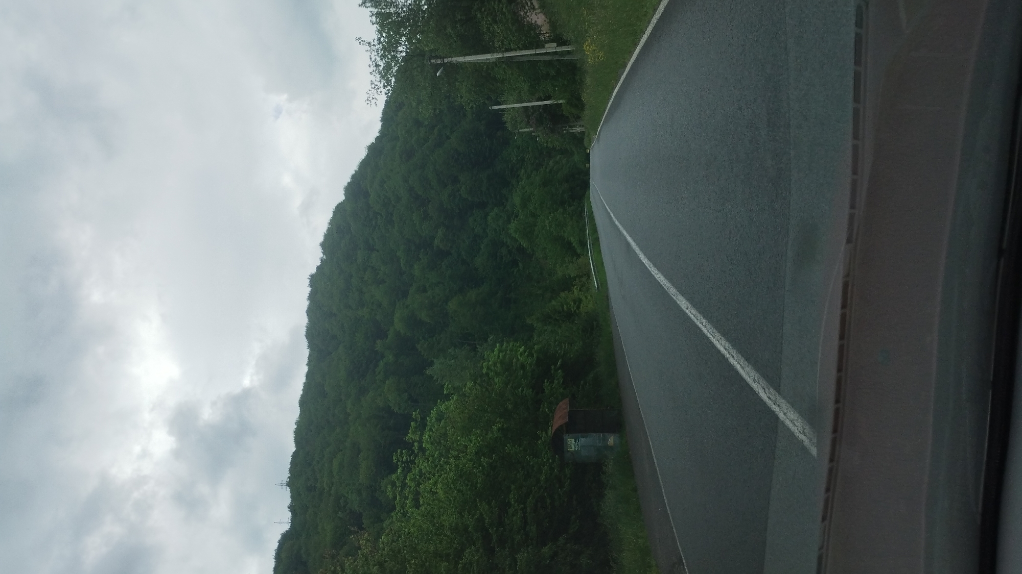 The image depicts a rural road passing through a forested hillside in the village of Bilyn, Ukraine. The road is paved with asphalt and marked with a white line down the center. On the left side of the road, there is a small bus stop shelter with a rusted metal roof and a glass enclosure. A dense forest of green trees covers the hillside that rises steeply from the road. The sky is overcast with gray clouds. In the distance, there are power lines visible on poles along the right side of the road, suggesting the presence of a rural settlement or infrastructure. The image appears to have been taken from inside a vehicle, as indicated by the dashboard visible in the foreground.