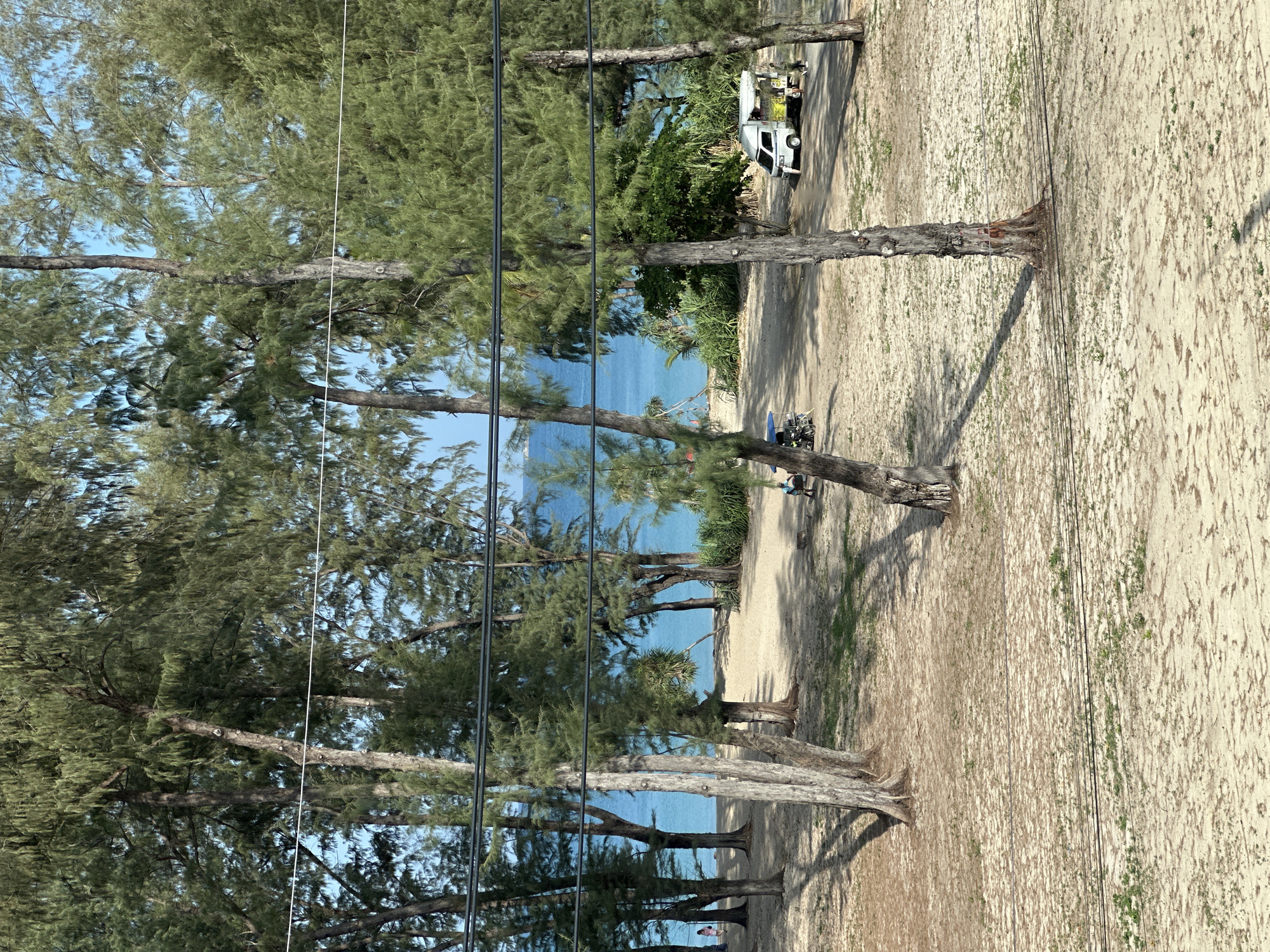 The scene is a beach in Choeng Thale, Thailand, viewed through pine trees. The sand is light in color. Utility lines run horizontally through the image. Distant turquoise water is visible between the trees. A white truck is parked on a dirt road adjacent to the beach. Two individuals are seated on a bench.