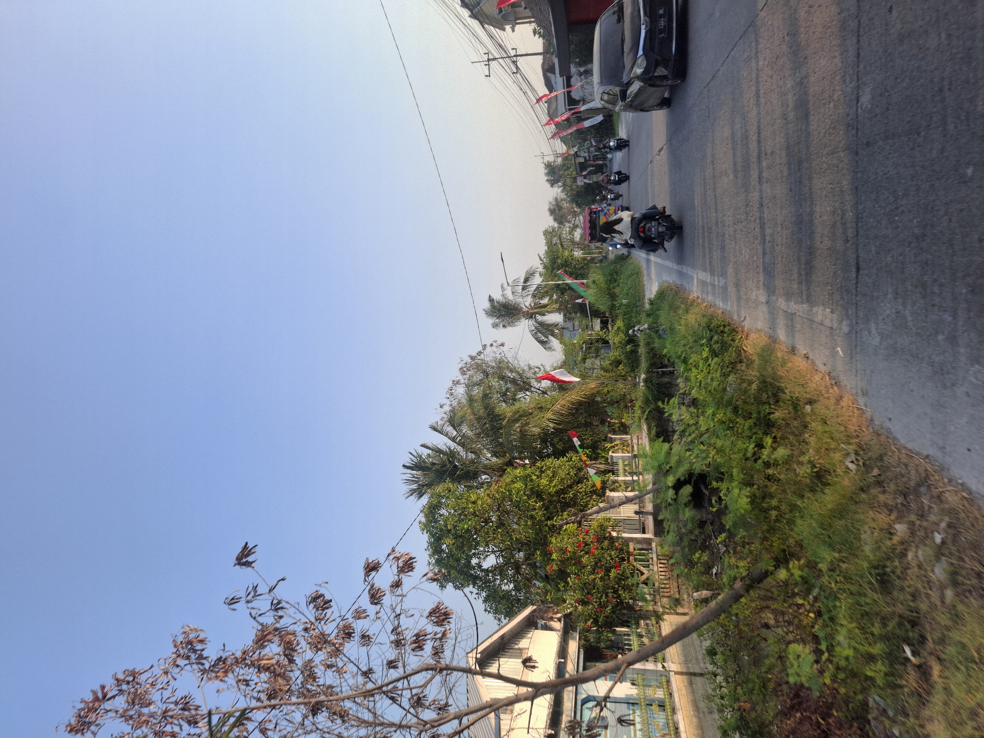 This is a street-level, eye-level shot of a road in Sungelebak, Indonesia, during the daytime. The sky is clear and blue. The road is paved with asphalt and has a white line marking the lane. On the left side of the road, there is a house with a white exterior and a blue gate, bordered by a fence and lush green vegetation. A tree with dry, brown leaves stands in the foreground on the left. Beyond the house and vegetation, more trees and palm trees are visible. Small Indonesian flags, red and white, are strung along the road and are also planted on poles.
Several motorcycles are on the road, with two people on one motorcycle in the mid-ground. A black car is driving on the right side of the road, in the foreground. The environment suggests a residential area with some commercial activity given the presence of the road and buildings. The lighting indicates it is likely late afternoon, with long shadows cast across the road.