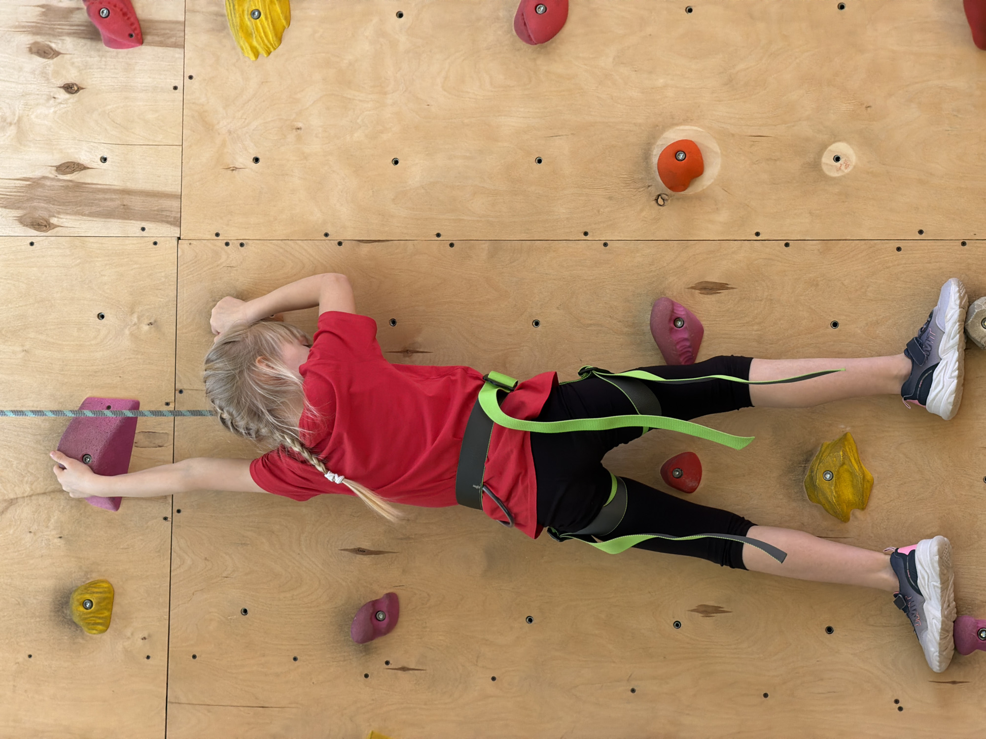 A young, fair-skinned girl with blonde braided hair is positioned horizontally on a climbing wall made of light-colored wood panels. She is wearing a red t-shirt, black leggings, and grey and white athletic shoes. A grey and neon green climbing harness is wrapped around her torso and legs. Her right arm is extended towards a pink climbing hold on the left side of the frame, while her left arm is bent, with her hand resting on the wall near her head. The climbing wall is fitted with various colorful climbing holds. The background consists of the wooden wall, with visible screw holes. There is no indication that this photograph was taken in Izhevsk, Russia.
