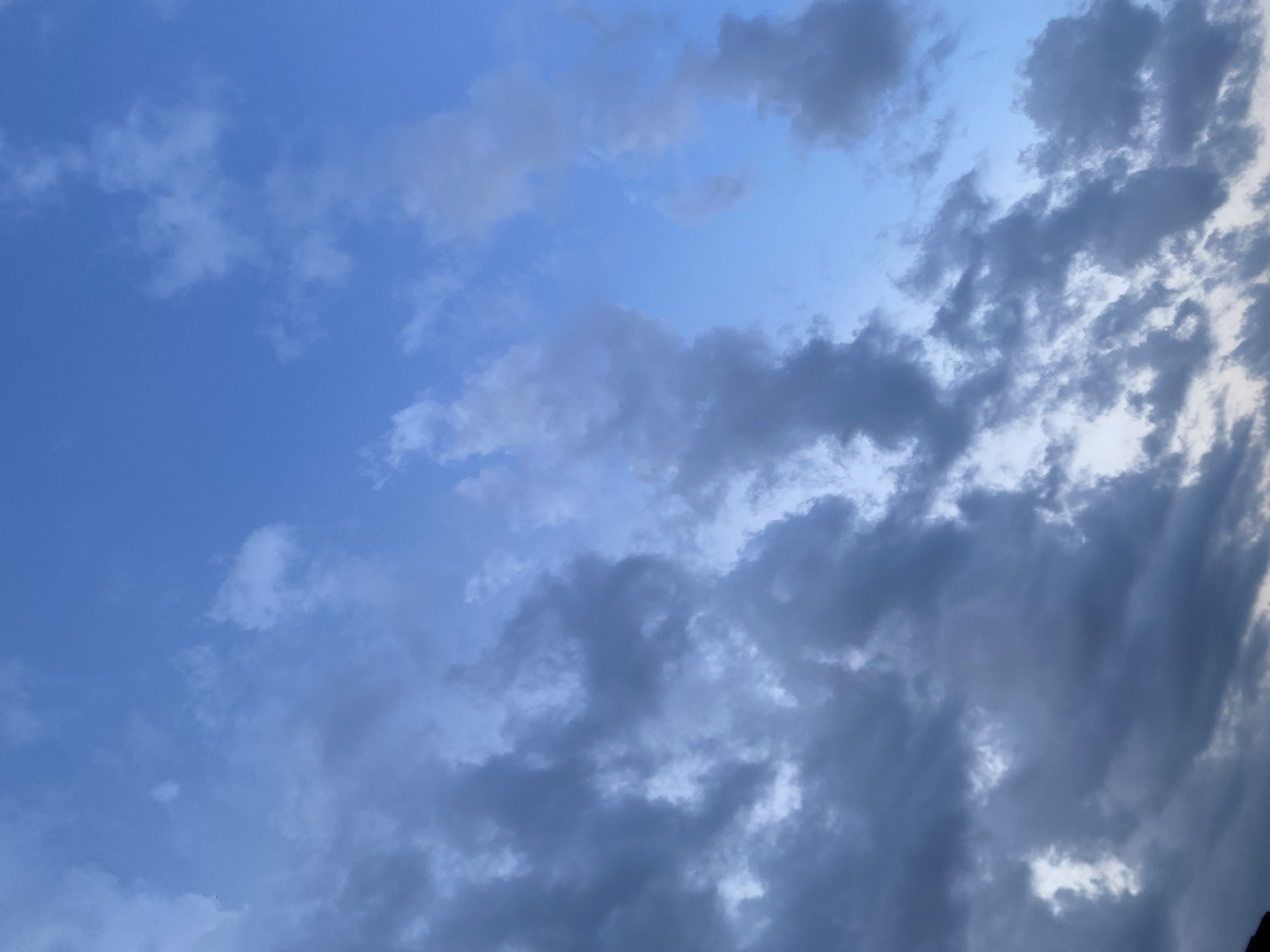 The image captures an expansive view of a partially cloudy sky, dominated by varying shades of blue and grey clouds. The left and upper-central parts of the frame feature a vibrant, clear blue sky, with scattered, lighter, and more diffuse cloud formations, possibly cirrus or altocumulus, appearing wispy and white against the azure backdrop.
Towards the right side of the image, the clouds become progressively denser, darker, and more prominent, presenting as larger, textured masses in tones of grey and darker blue. These heavier clouds, possibly stratus or nimbostratus, create a striking contrast with the lighter portions of the sky and suggest a shift in weather conditions or cloud layers. The overall lighting suggests either early morning or late afternoon, as the blue tones are deep and rich, and the light illuminating the clouds appears soft and diffused rather than harsh direct sunlight.
There are no people, animals, or man-made objects visible within the frame. The scene focuses exclusively on the atmospheric elements. No specific activity or event is depicted, as it is a static shot of the sky. The image itself does not contain any visible text or explicit geographical cues to identify its location, though it is contextualized as Jos, Nigeria. The scene conveys a sense of natural beauty and the subtle drama of changing sky conditions.