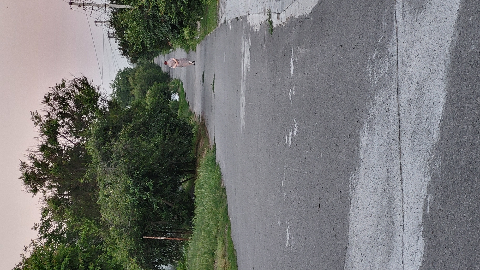 A solitary individual wearing a dress walks away from the camera down a rural asphalt road, lined with lush green trees and foliage on both sides. The road is cracked and shows signs of wear. The sky is overcast with a soft, pale pink hue, suggesting it may be dawn or dusk. Electrical poles and wires are visible in the distance to the right. The person's hands are clasped behind their back, and they are facing away from the viewer, walking towards a vanishing point. The overall scene is tranquil and somewhat isolated.