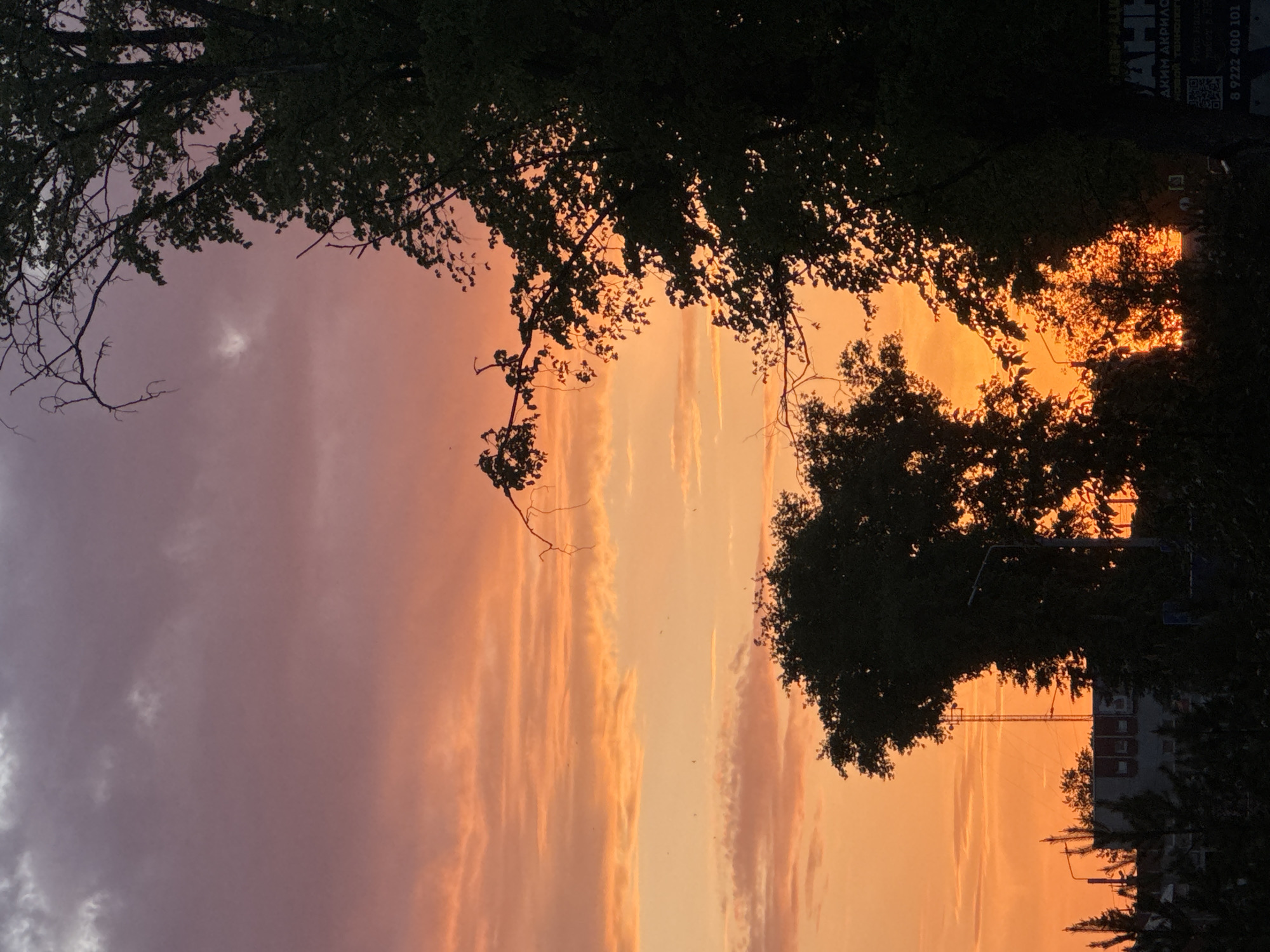 The image depicts a sunset sky in Chaikovsky, Russia. The sky is painted with a spectrum of colors, transitioning from pinkish-purple clouds on the left to vibrant orange hues dominating the center and right. Silhouetted trees frame the scene, their dark forms contrasting with the bright sky. Glimpses of city infrastructure, including buildings and a crane, are visible through the foliage, particularly on the right. A street sign is also visible through the foliage.