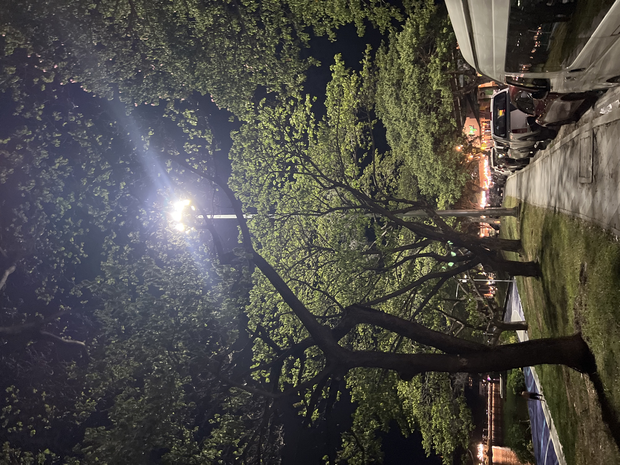 This is a nighttime, full-shot, eye-level, exterior photograph of a street scene in the city of Ko Samui District, Thailand. The image features a sidewalk lined with trees, a body of water to the left, and parked cars on the right. The lighting comes from a street lamp and ambient lights from nearby buildings. The trees are full of green leaves, illuminated by the street lamp, creating a canopy over the sidewalk. The water appears calm, with lights reflecting on its surface. A person is visible walking along a path next to the water on the left side of the image. A line of parked vehicles, including trucks and vans, are visible along the right side of the sidewalk. The overall atmosphere is serene and urban.