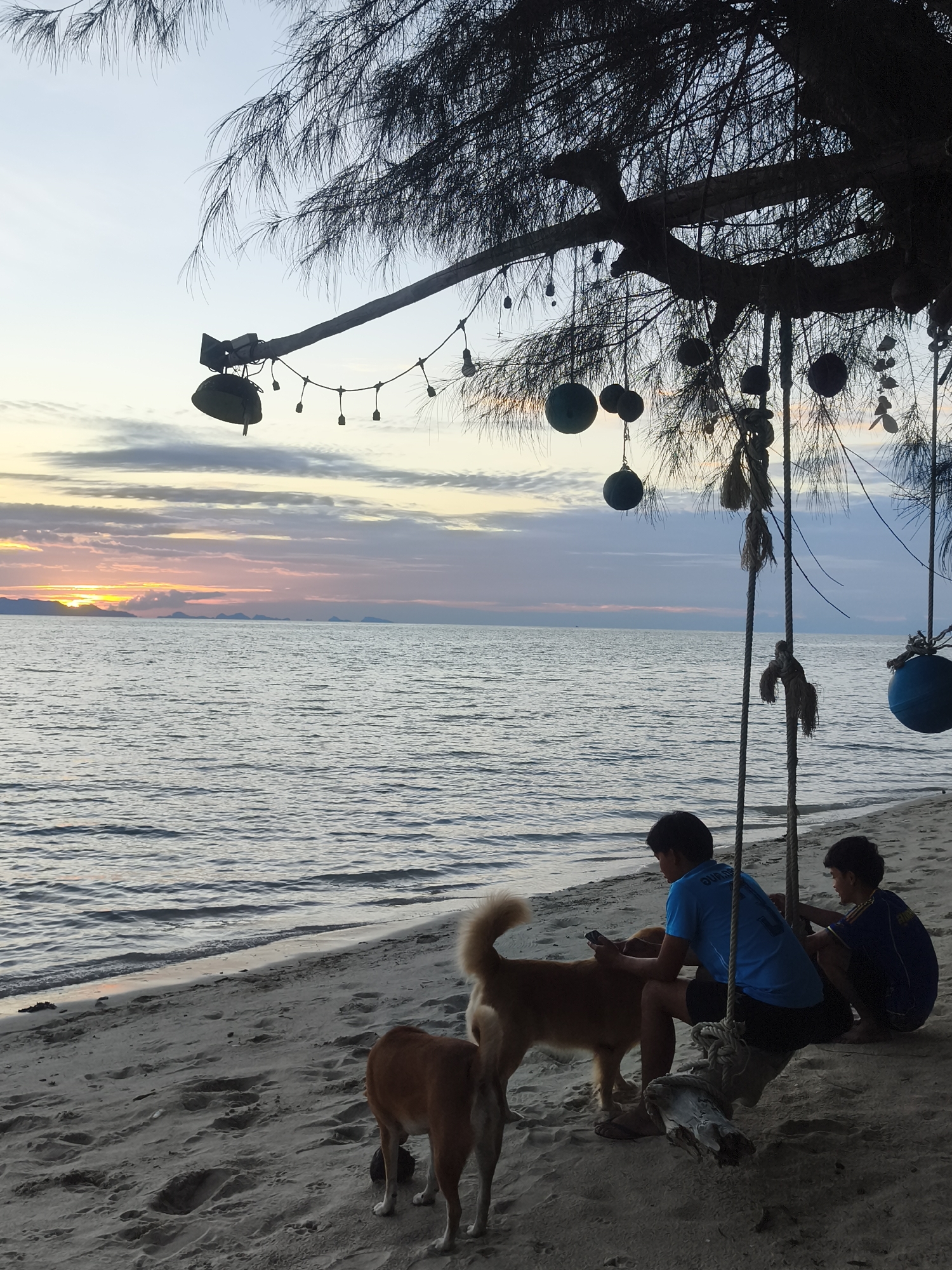 The image shows a serene sunset scene on a sandy beach in Baan Lipa Noi, Thailand. Two young boys are seated on the sand near a swing made from a log and ropes, suspended from a tree. One boy, wearing a blue t-shirt, is holding a mobile phone. Beside them, two dogs are standing on the sand. The sea stretches out to the horizon, with distant islands visible. The sky is filled with soft hues of pink, orange, and blue, indicating the sunset. The branches of a large tree with pine-like needles overhang the scene, adorned with various decorations, including what appear to be coconuts and possibly glass balls, and string lights. The overall atmosphere is peaceful and tranquil.