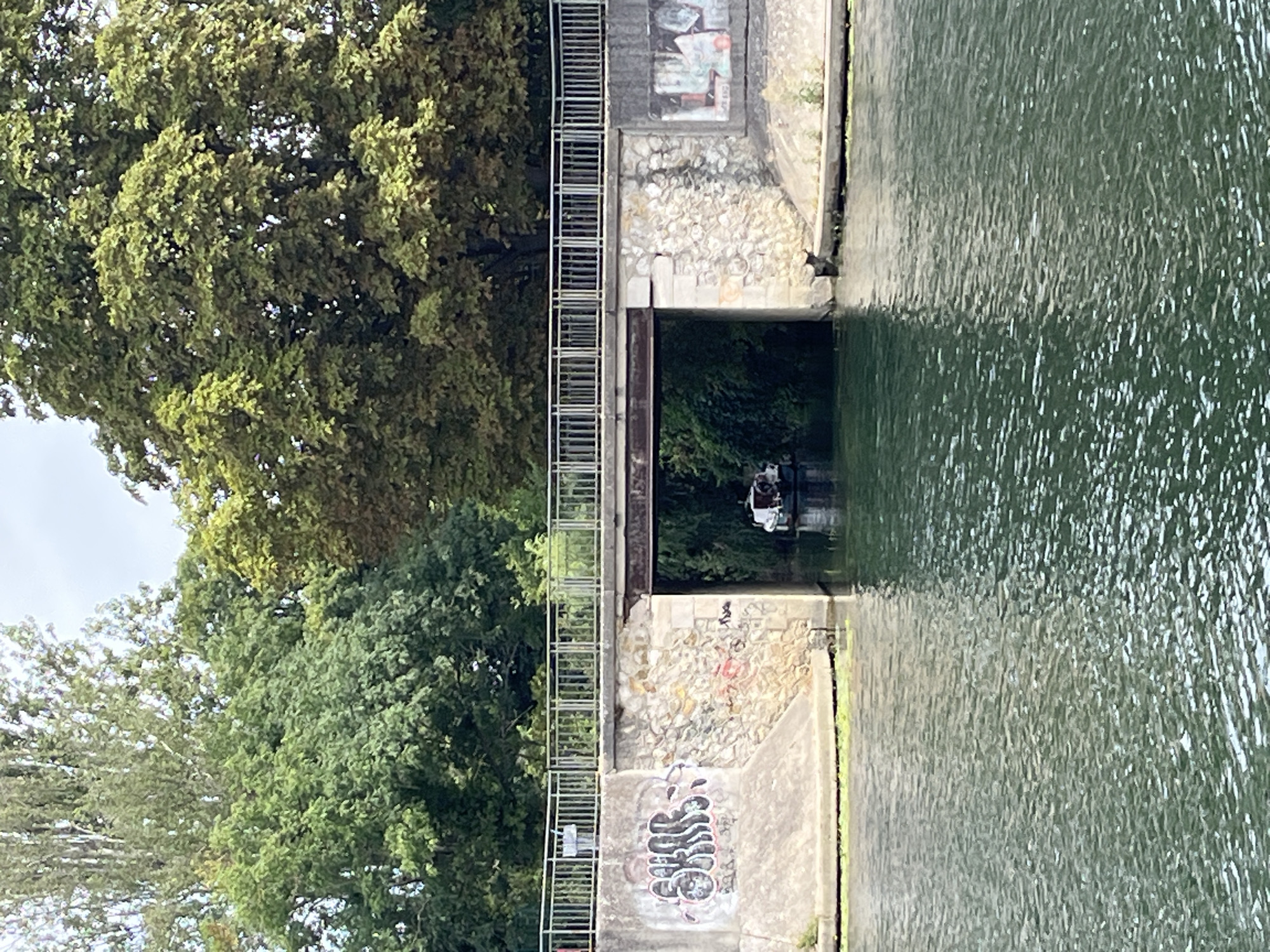 The image captures a canal with a bridge crossing it in Joinville-le-Pont, France. The canal water is a dark, greenish hue with ripples reflecting the sky and surrounding greenery. On the canal's surface, a small boat with a white cabin and a darker hull is visible, passing under the bridge. The bridge itself is made of concrete and metal, with a railing running along its top. The bridge abutments are constructed of stone and concrete, with graffiti visible on the left abutment. Lush green trees with dense foliage flank the canal and form a backdrop behind the bridge. The sky above is overcast with a soft, diffused light.