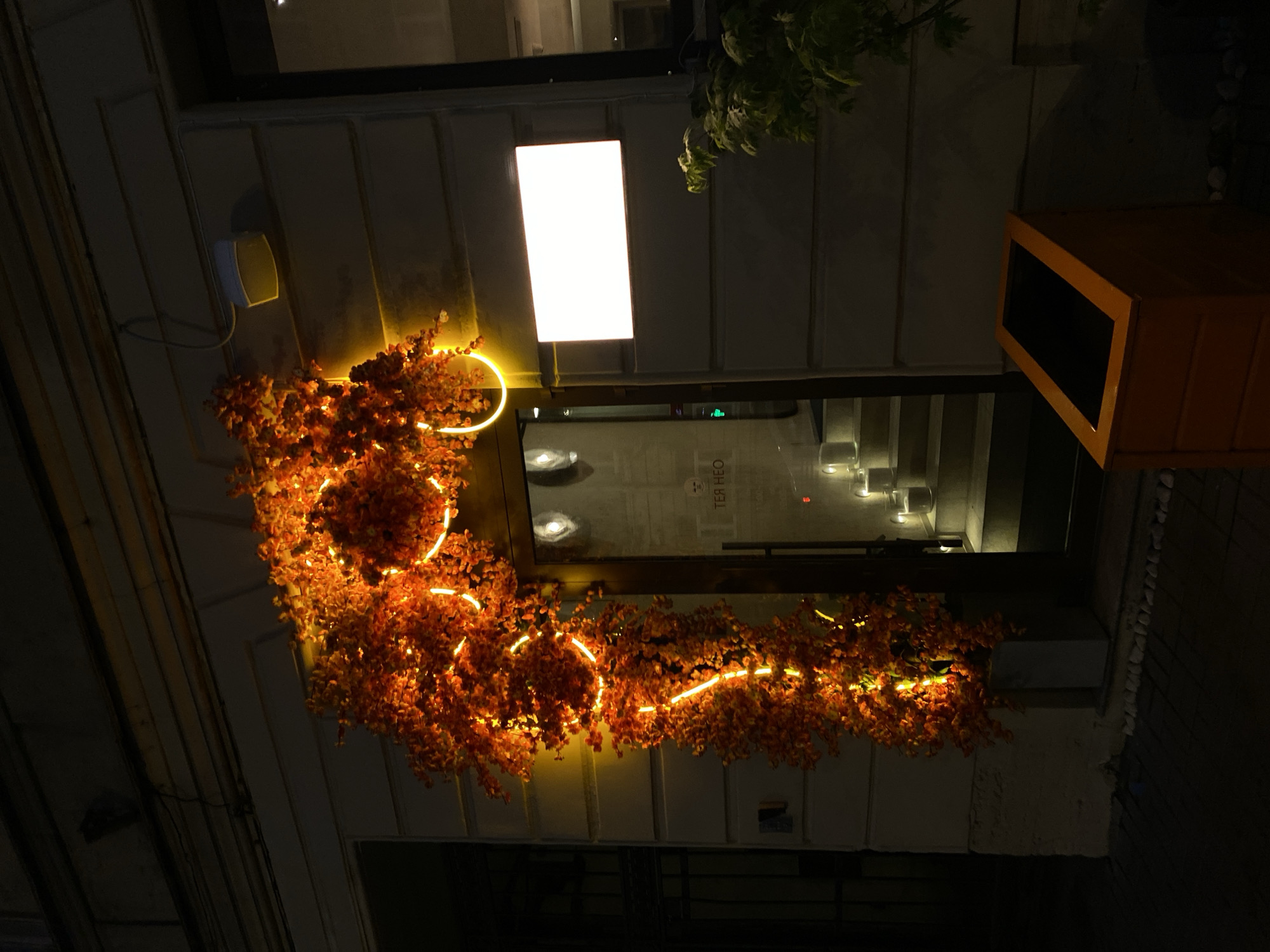 Captured from a low angle, the image presents an exterior view of what appears to be a storefront or establishment at night. The structure is adorned with a profusion of orange, floral decorations that are illuminated with integrated lighting. The flowers surround two circular, lit elements. A rectangular light panel is positioned on the building facade. The storefront features a glass window where interior details and reflections are visible. A yellow box-like structure is placed on the right. The surroundings are dark, indicating nighttime, and suggest an urban environment. The location is Saint Petersburg, Russia.