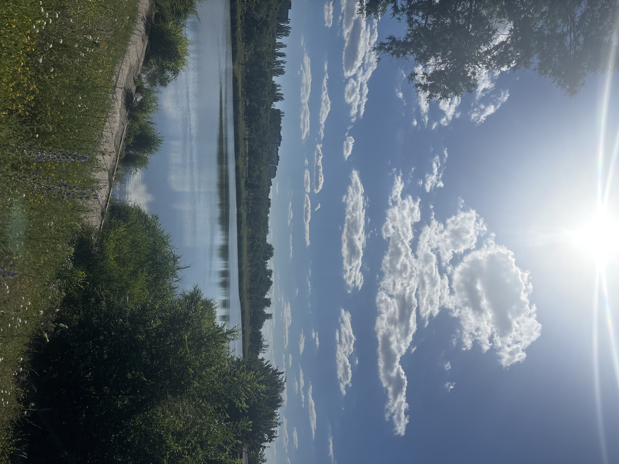 A wide shot captures a serene lake under a bright, sun-drenched blue sky dotted with fluffy white clouds. The sun, positioned in the upper left quadrant, casts a strong glare, creating a lens flare effect that streaks across the sky. The water of the lake is calm, reflecting the sky and surrounding greenery. A concrete path runs along the near edge of the lake, bordered by lush green grass and wildflowers, including purple and yellow varieties. Dense trees line the far bank of the lake, with buildings and taller, thinner trees visible behind them, suggesting a suburban or urban fringe environment. The overall atmosphere is peaceful and natural, bathed in warm sunlight.