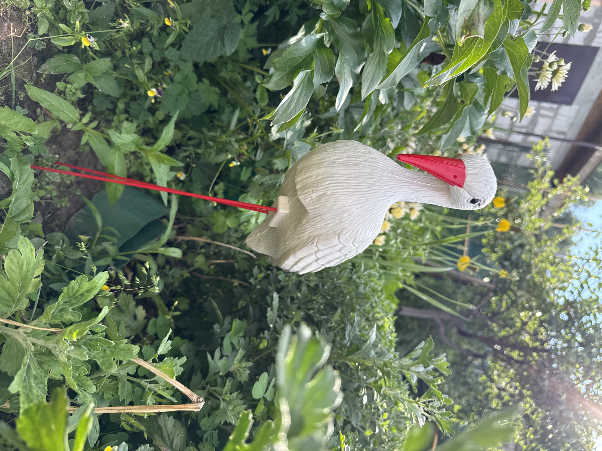 In Bor, Russia, a garden scene unfolds, dominated by a white plastic stork figurine with a bright red beak and red legs. The figurine stands amidst lush green foliage, including large-leafed plants and smaller leafy plants with hints of yellow flowers. In the background, a brick structure is visible, partially obscured by greenery. The overall environment suggests a sunny day in a residential or communal garden. The focus is on the artificial stork, positioned as if part of the natural landscape.