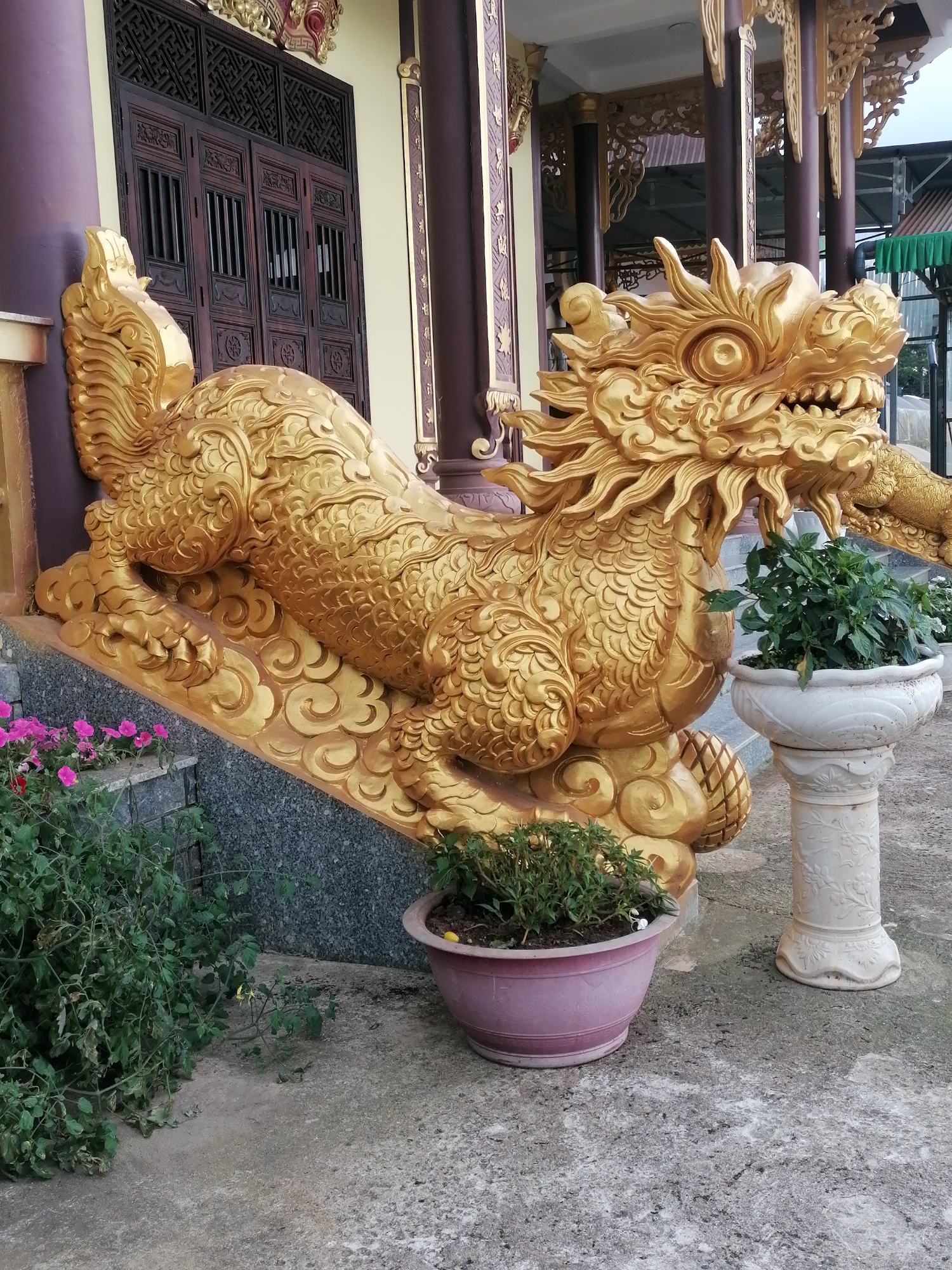 A golden dragon statue is prominently displayed in front of a building with traditional Vietnamese architecture. The dragon is depicted in a reclining pose, with intricate scales and a fierce expression. It rests on a decorative base that resembles clouds. To the left of the dragon, there are steps with pink flowers and lush green plants. To the right, a white, ornate planter with a green plant stands on a pedestal. The ground is paved with concrete. In the background, a large wooden door with ornate carvings is visible, as are the dark brown pillars of the building. The sky is overcast. The location is identified as Xuân Thành, Vietnam.