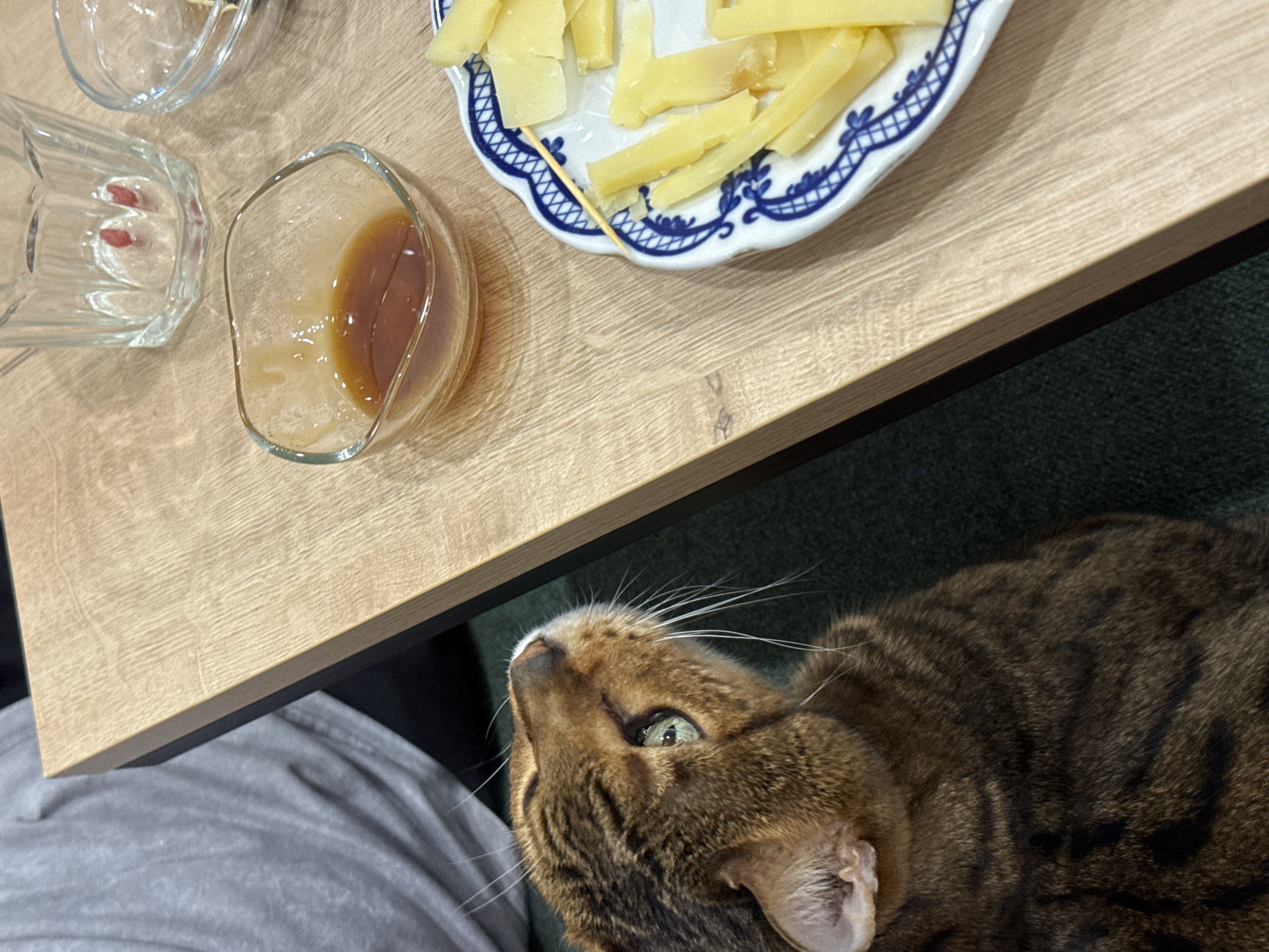 The image, captured from a high-angle perspective, shows a close-up of a brown tabby cat looking up at a table set with snacks. The table features a light brown wooden surface with a visible grain texture. On the table, a small white plate with a blue and white patterned rim holds several irregularly cut slices of yellow cheese. A wooden toothpick rests on the plate. Beside the plate, a small clear glass bowl contains a viscous, amber-brown liquid, likely honey or syrup. An empty clear glass pitcher and another empty clear glass object are also present on the table.
In the lower right portion of the frame, the tabby cat is positioned, with its head tilted sharply upwards, gazing intently at the food on the table. The cat has striking green eyes, long white whiskers, and a coat of brown and black stripes. Part of a person's lap, covered in grey fabric, is visible in the lower left, suggesting someone is seated at the table. A dark green textured fabric, possibly from a chair or sofa, is seen in the background. The scene depicts a casual indoor setting, capturing a moment of the cat's interest in the snacks. No text is visible in the image.