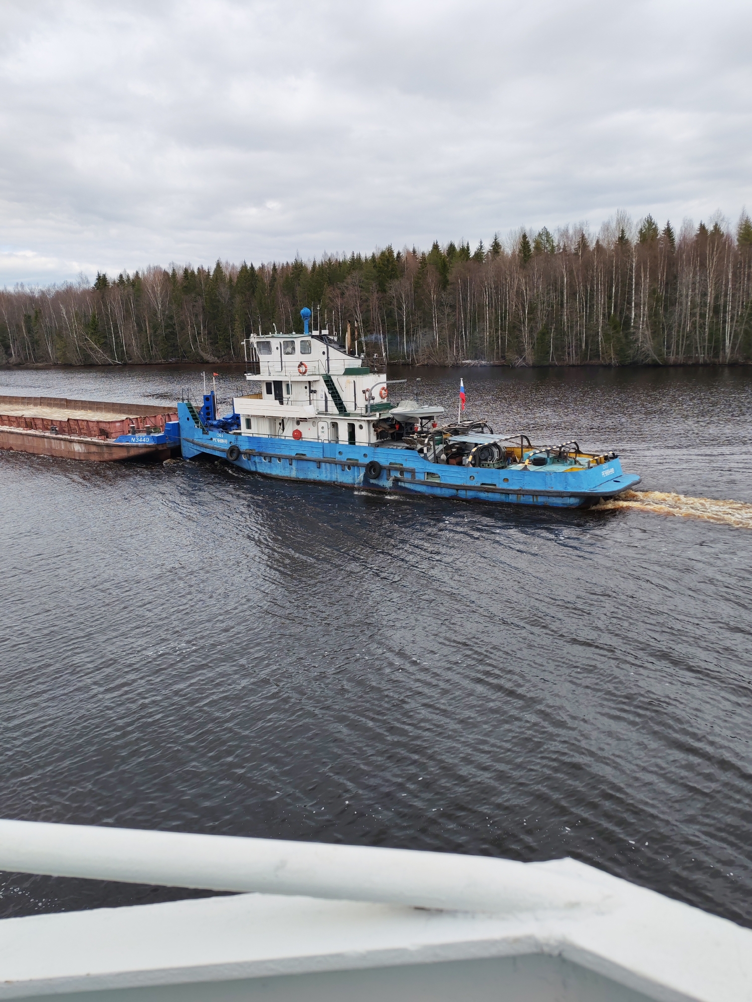 This image depicts a maritime scene in Uzhla, Russia, under an overcast sky during daylight hours. The primary subjects are a blue and white tugboat actively pushing a large, rectangular brown barge along a wide, dark waterway.
The tugboat, characterized by its vibrant blue hull and a prominent white multi-level superstructure, features a bridge with windows, several red lifebuoys, and various pieces of equipment on its decks, including what appears to be a small crane-like structure and coiled cables. A Russian flag is prominently flying from the stern of the tugboat, which is generating a distinct, frothy brown-orange wake as it moves through the water. Visible text on the tugboat includes "5503" and partially "РЕЧНИК...".
The accompanying barge, painted in a rust-brown or reddish hue, appears to be empty or carrying low-profile cargo. The identification number "N3440" is clearly visible on its stern. The tugboat is positioned directly behind the barge, propelling it forward.
The waterway is flanked by a dense forest on the distant bank, composed of a mix of evergreen conifers and leafless deciduous trees, suggesting a late autumn, winter, or early spring season. The water itself is dark and shows slight ripples. In the immediate foreground, a white metal railing is partially visible, indicating the photograph was taken from another vessel or a bridge overlooking the scene.