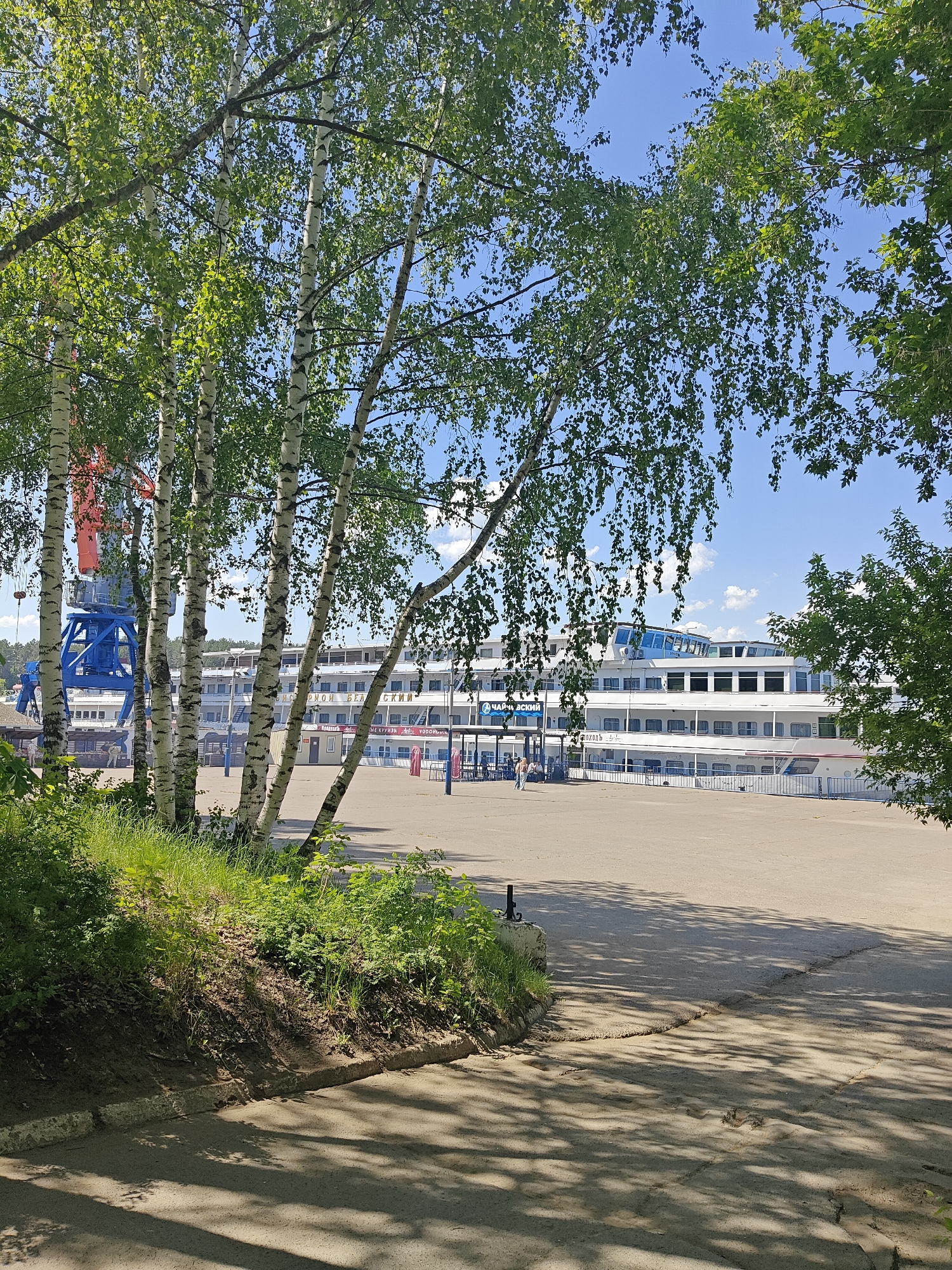 The image captures a waterfront scene in Chaikovsky, Russia. In the background, a multi-decked white passenger ship is docked. To the left, a blue port crane is visible behind several birch trees. A paved area stretches out in front of the ship. The foreground features a patch of grass and greenery, bordering the paved walkway. The sky is blue with scattered clouds, suggesting a bright, sunny day. Shadows from trees dapple the paved area in the foreground.