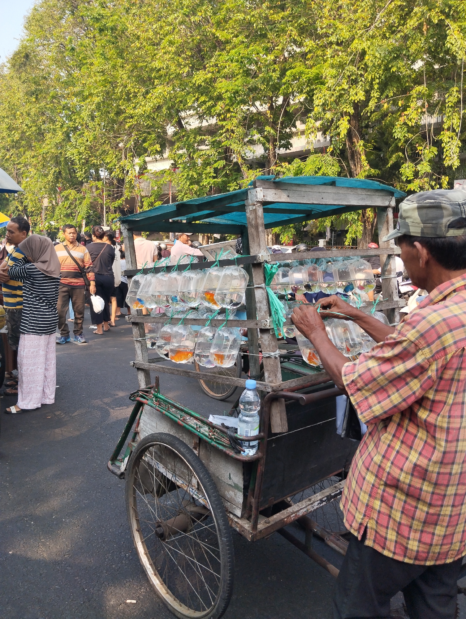 In Surabaya, Indonesia, a man in a checkered shirt and camouflage cap stands behind a cart selling fish in plastic bags. The cart is made of wood and metal, with a green tarp providing shade. Many plastic bags, each containing a single fish, are hung from the sides of the cart. The man's hands are visible as he appears to be adjusting or arranging the bags. In the background, other people are walking, and trees line the street. The street appears to be asphalt, and the scene is lit by natural sunlight, suggesting it is daytime.