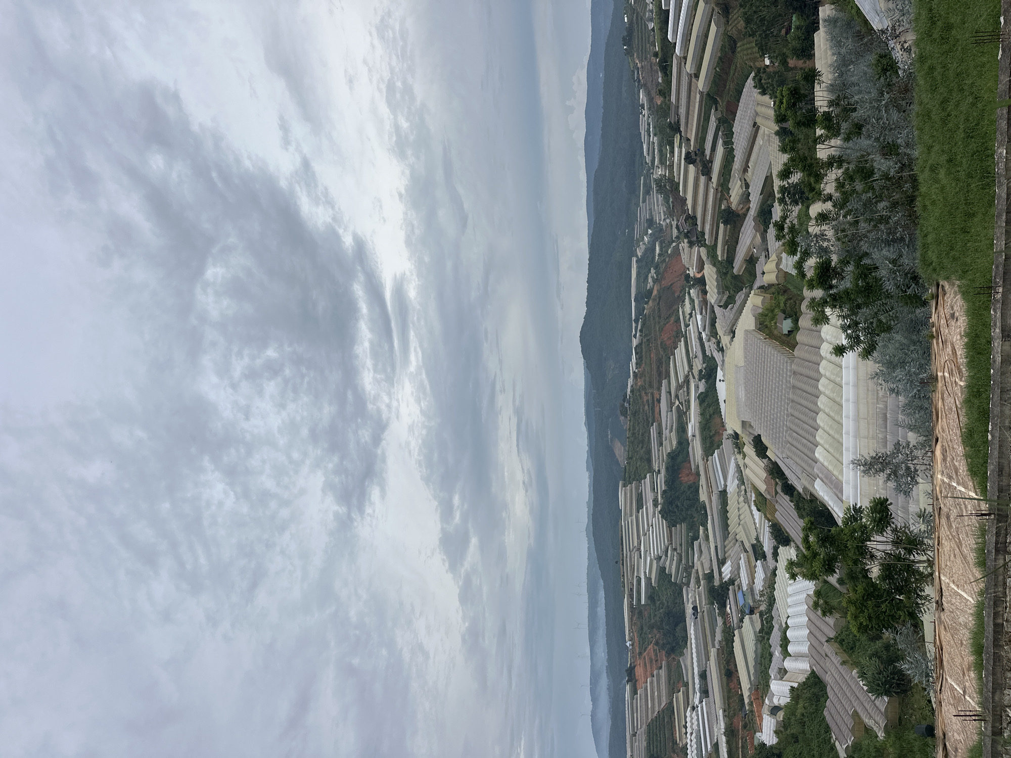 This is a high-angle, vertical, landscape photograph taken in Da Quy, Vietnam. The image depicts a vast agricultural area filled with numerous greenhouses, which dominate the right half of the frame. These structures are neatly arranged in rows, stretching into the distance and covering a hillside. Many of the greenhouses have white or translucent roofs, suggesting they are used for protected cultivation.
Interspersed among the greenhouses are patches of green trees and darker foliage, indicating some areas are not covered by the agricultural structures. The terrain appears to be sloped, with the greenhouses following the contours of the land. In the far distance, a range of hazy, dark green mountains rises against the sky, hinting at a rural or mountainous region.
The sky is overcast with a layer of gray, textured clouds that take up the left half of the image. The lighting is diffused and subdued, suggesting it is either early morning, late afternoon, or a cloudy day. There are no visible people or specific activities taking place in the frame; the focus is on the agricultural landscape and its scale. The overall mood is calm and observational, showcasing the organized agricultural development in the area.