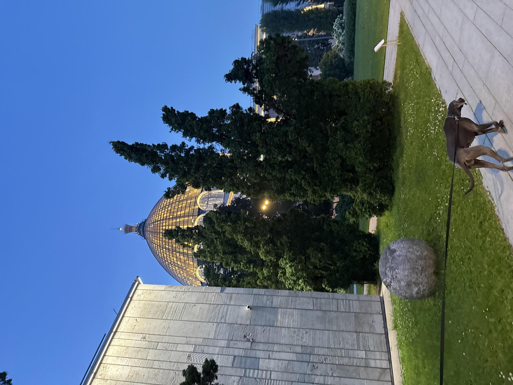 This is an outdoor, eye-level shot of the Russian State Library in Moscow, Russia, taken at dusk. The dome of the library, illuminated from within, is visible in the background, surrounded by lush green trees. To the left of the dome, a modern building with a textured, concrete facade stands. A large, spherical rock rests on a grassy lawn in the foreground. A dark-colored dog, on a leash, walks along a paved pathway towards the right side of the frame. The sky is a deep, clear blue.