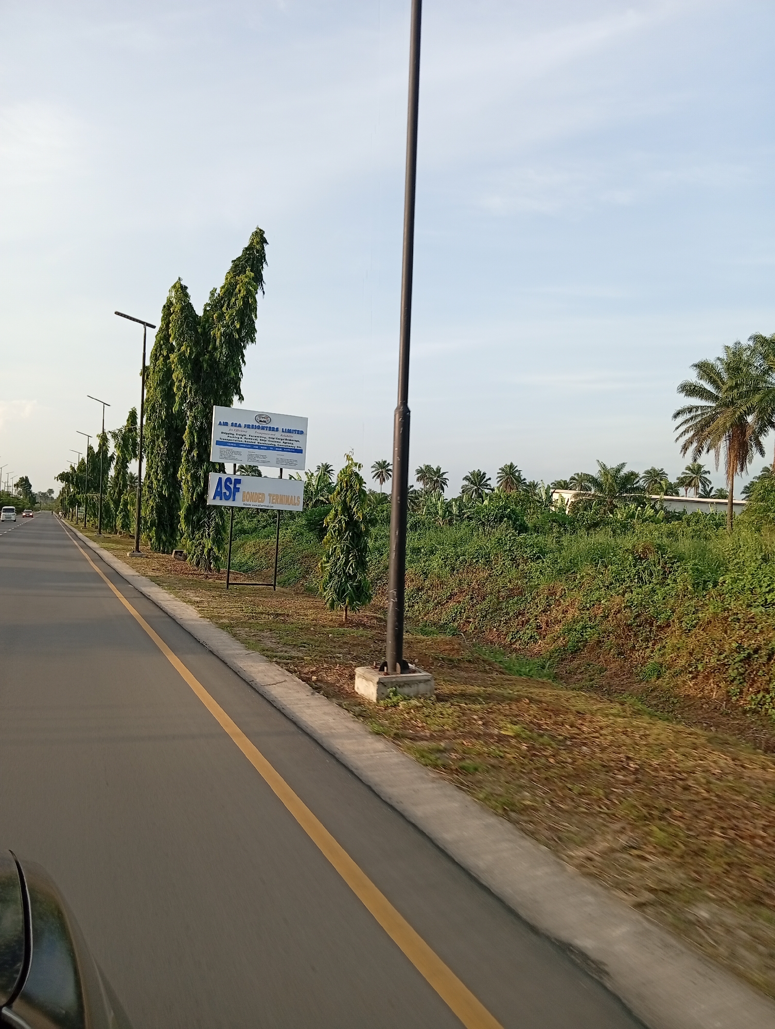 The image captures a roadside scene in Omagwa, Nigeria, likely from a moving vehicle. A paved asphalt road with a solid yellow dividing line extends into the distance on the left. A concrete curb separates the road from the grassy shoulder.
On the right side of the road, a dense row of tall, slender, evergreen trees (possibly Indian mast trees) lines the path, creating a green barrier. Beyond these trees, there's a thick expanse of natural vegetation and shrubs, with numerous palm trees visible further back. Some buildings can be faintly seen amidst the palm trees in the background. Modern streetlights with dark poles are regularly spaced along the road, one of which stands prominently in the foreground.
Two white billboards are positioned on the right side of the road, in front of the line of trees. The upper billboard reads "AIR SEA FREIGHTERS LIMITED" followed by smaller text detailing services such as "clearing, shipping, freight forwarding, customs agents, logistics, warehousing, storage, consulting, etc." and "Specialist Bonded Warehouse Operators." The lower billboard, which is larger, displays "ASF BONDED TERMINALS."
In the far distance on the road, a white van or bus and another car are visible, indicating traffic. The sky is clear and light blue with a few wispy clouds, suggesting good weather, possibly late morning or early afternoon given the soft light. The bottom left corner shows a partial view of the car from which the photo was taken. The overall scene depicts a well-maintained road passing through a verdant, semi-urban or rural landscape.