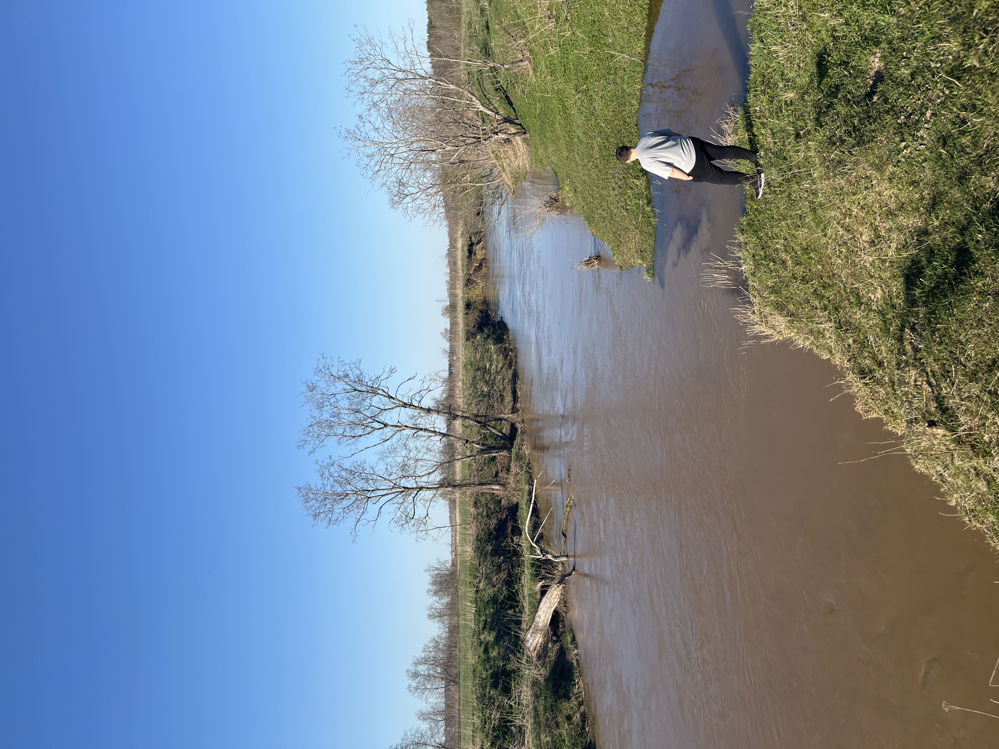 A riparian environment is shown in this image, featuring a turbid river flowing between grassy banks. A man stands at the edge of the riverbank on the right. A clear blue sky is visible, and bare trees line the left side of the river. The location is likely Voronino, Russia.